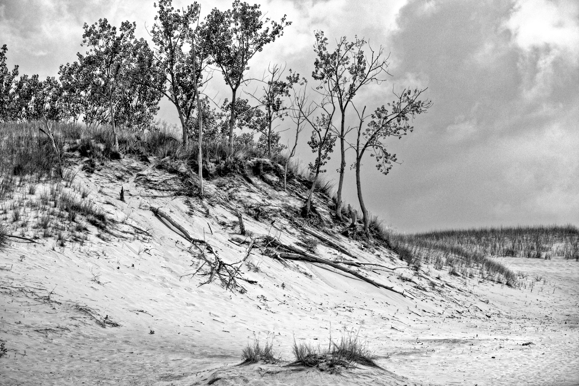Black & White 00206