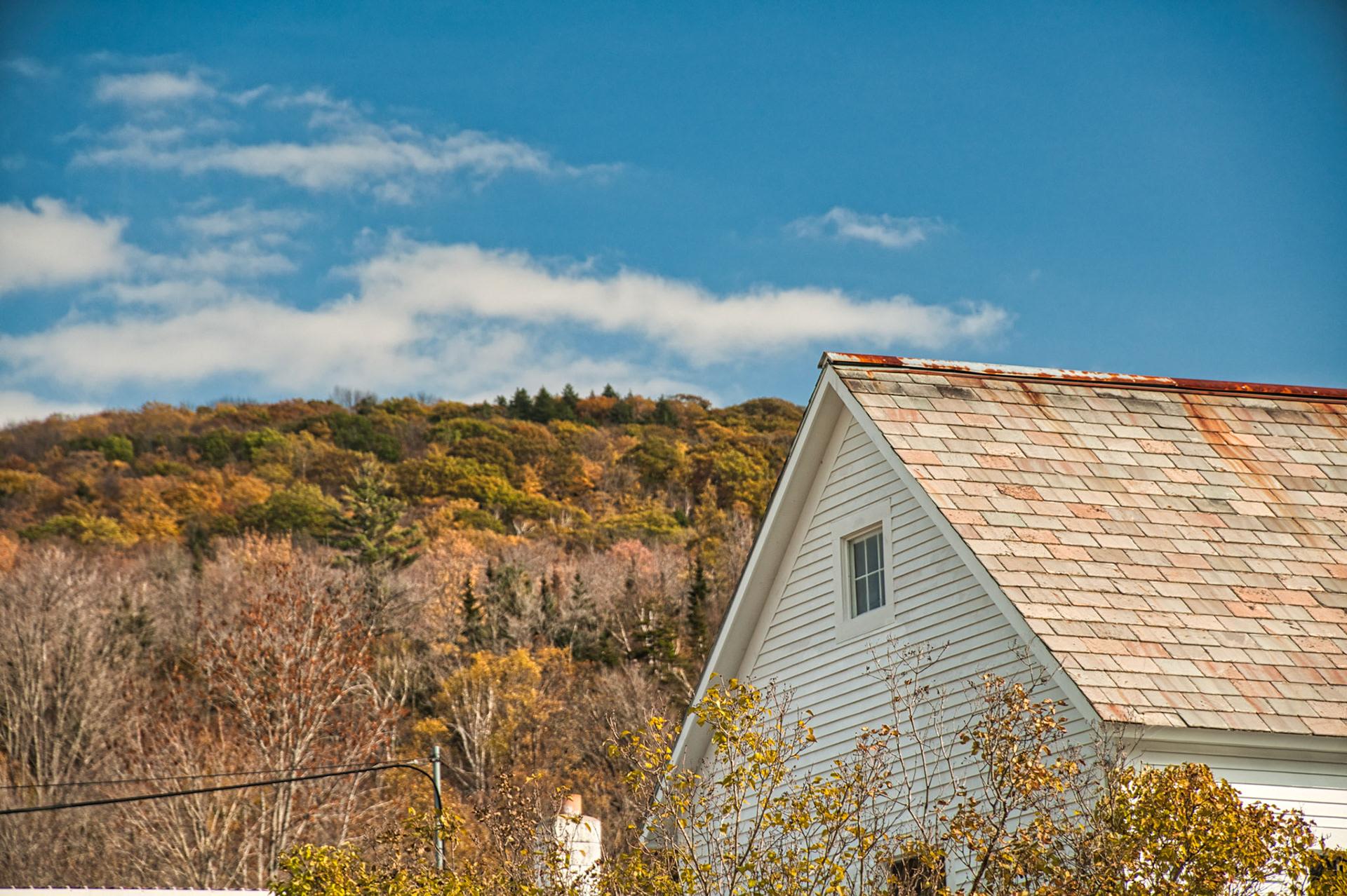 VT Miscellaneous 00043