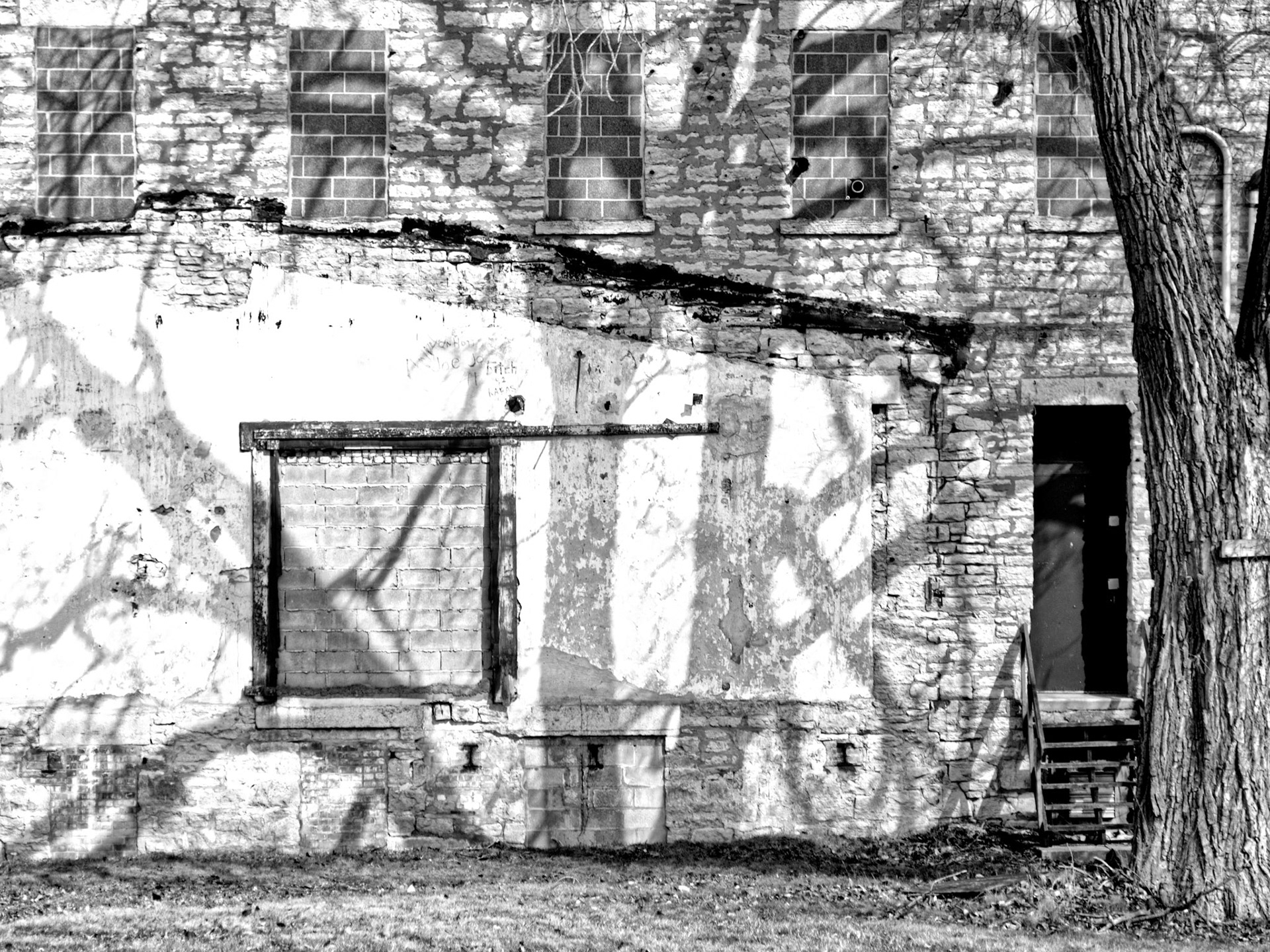 Black & White 00033