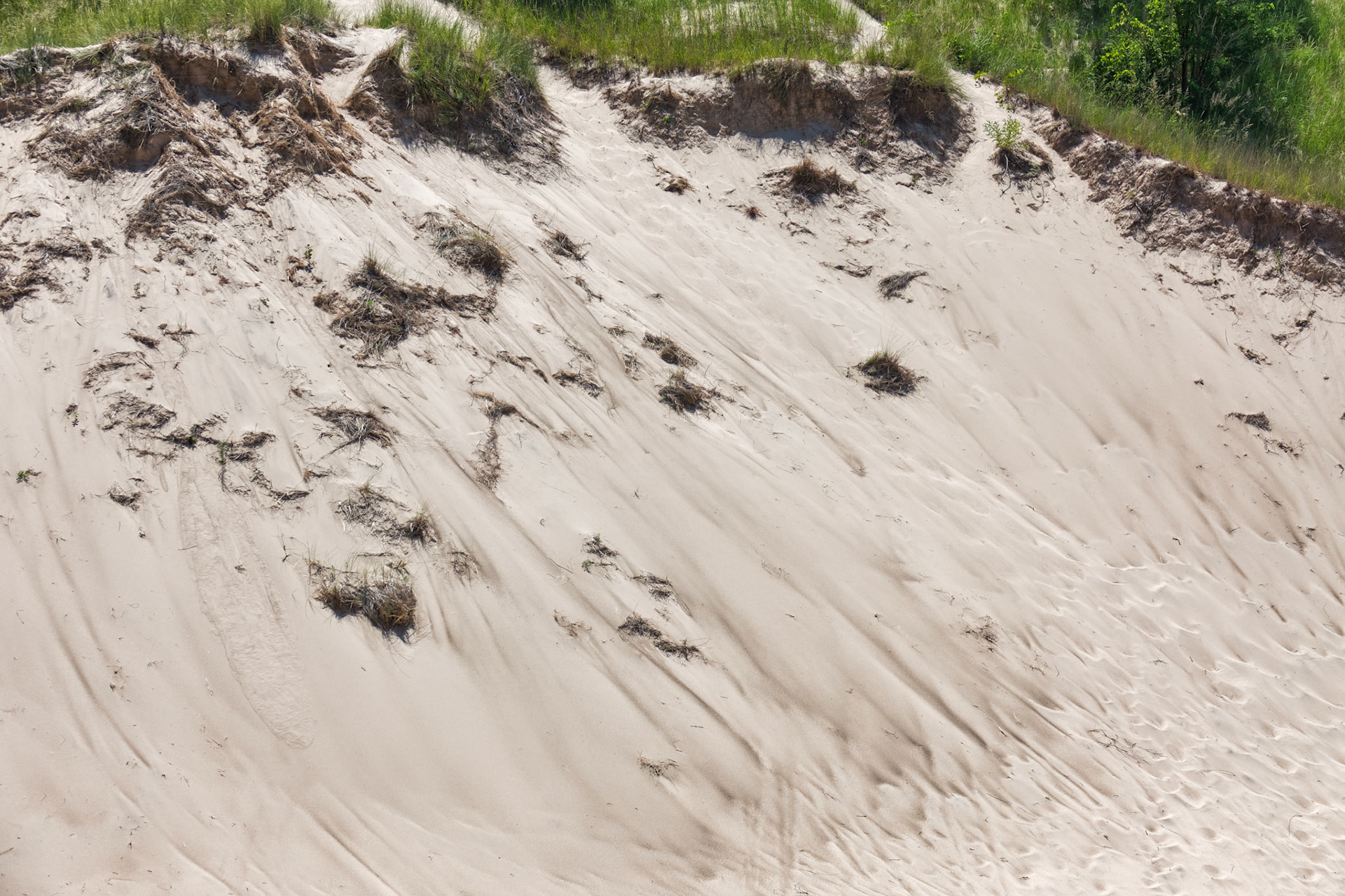 MI Dunes 00051