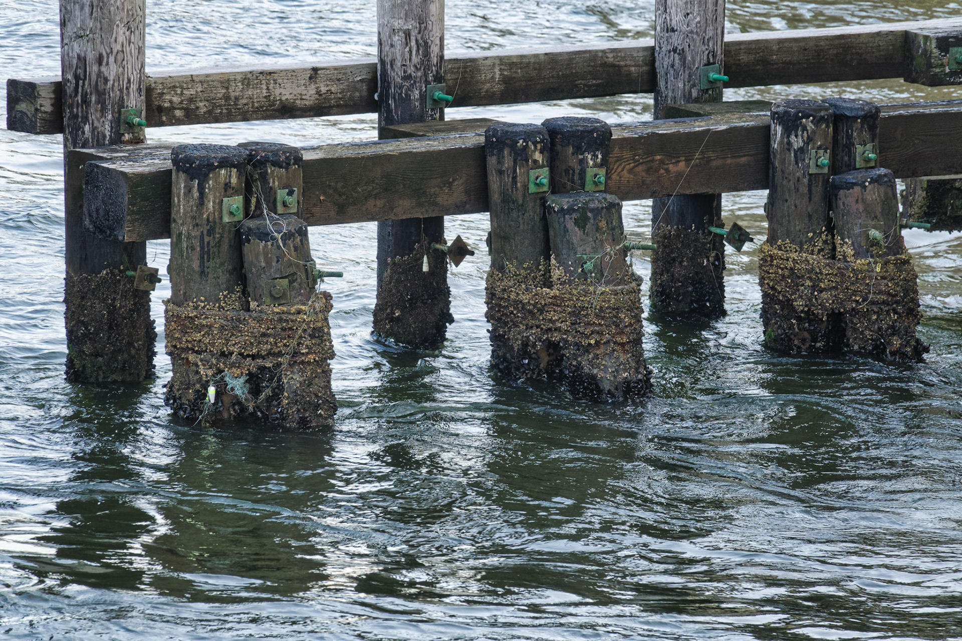 NJ Shore 00030
