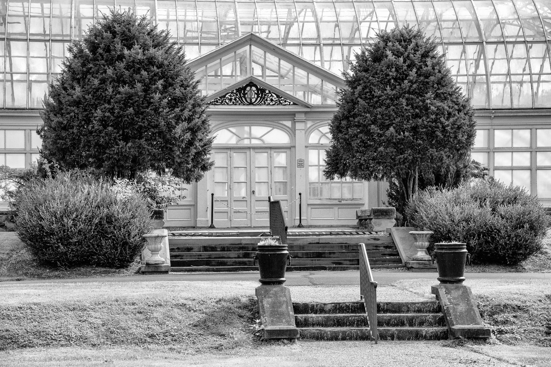 Black & White 00226