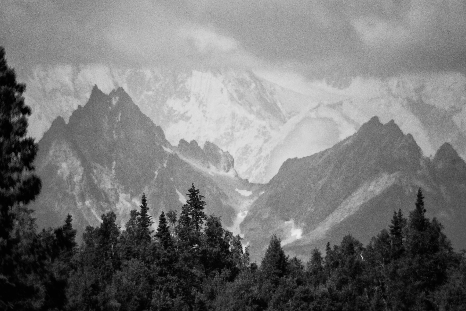 Black & White 00067