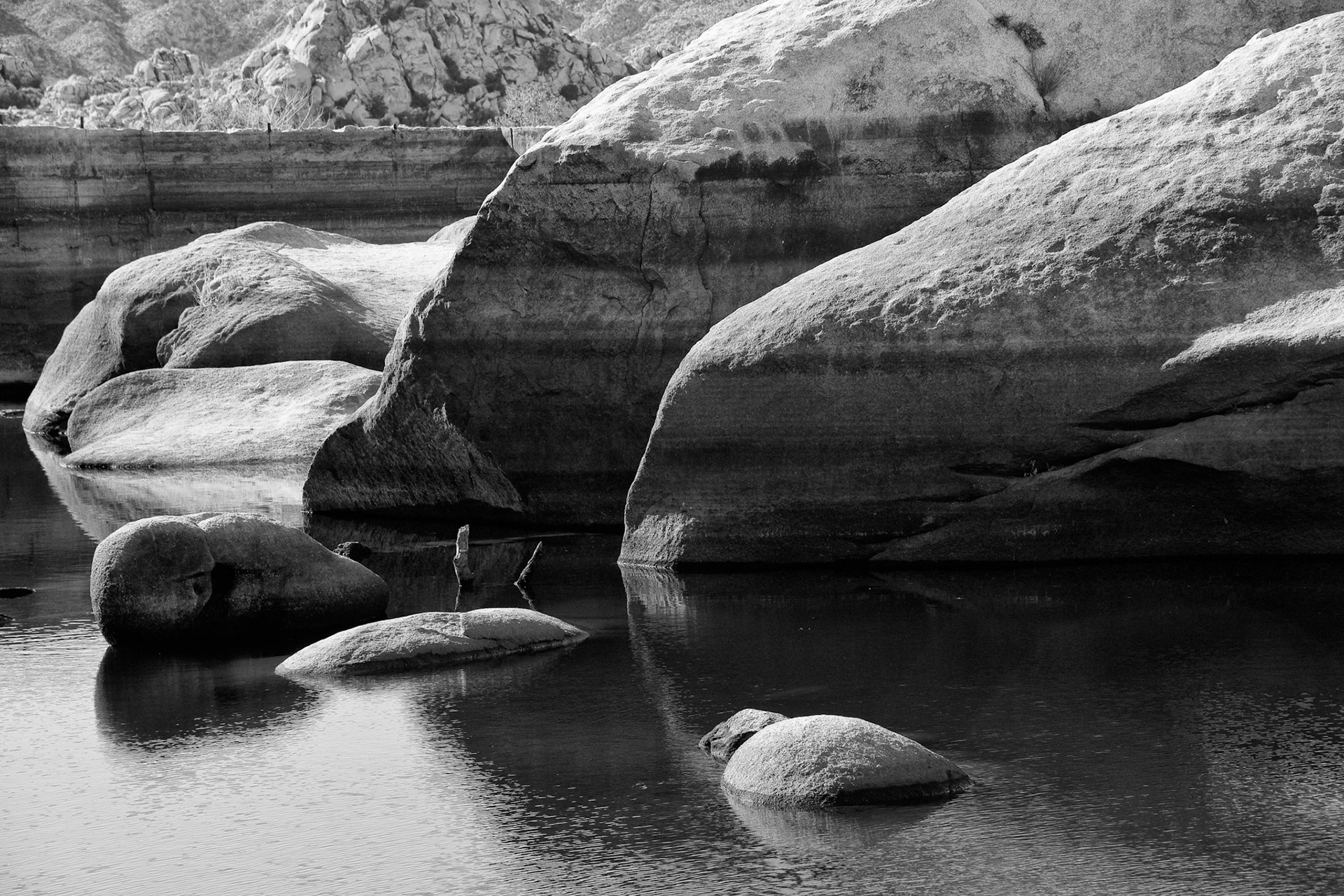 Black & White 00094