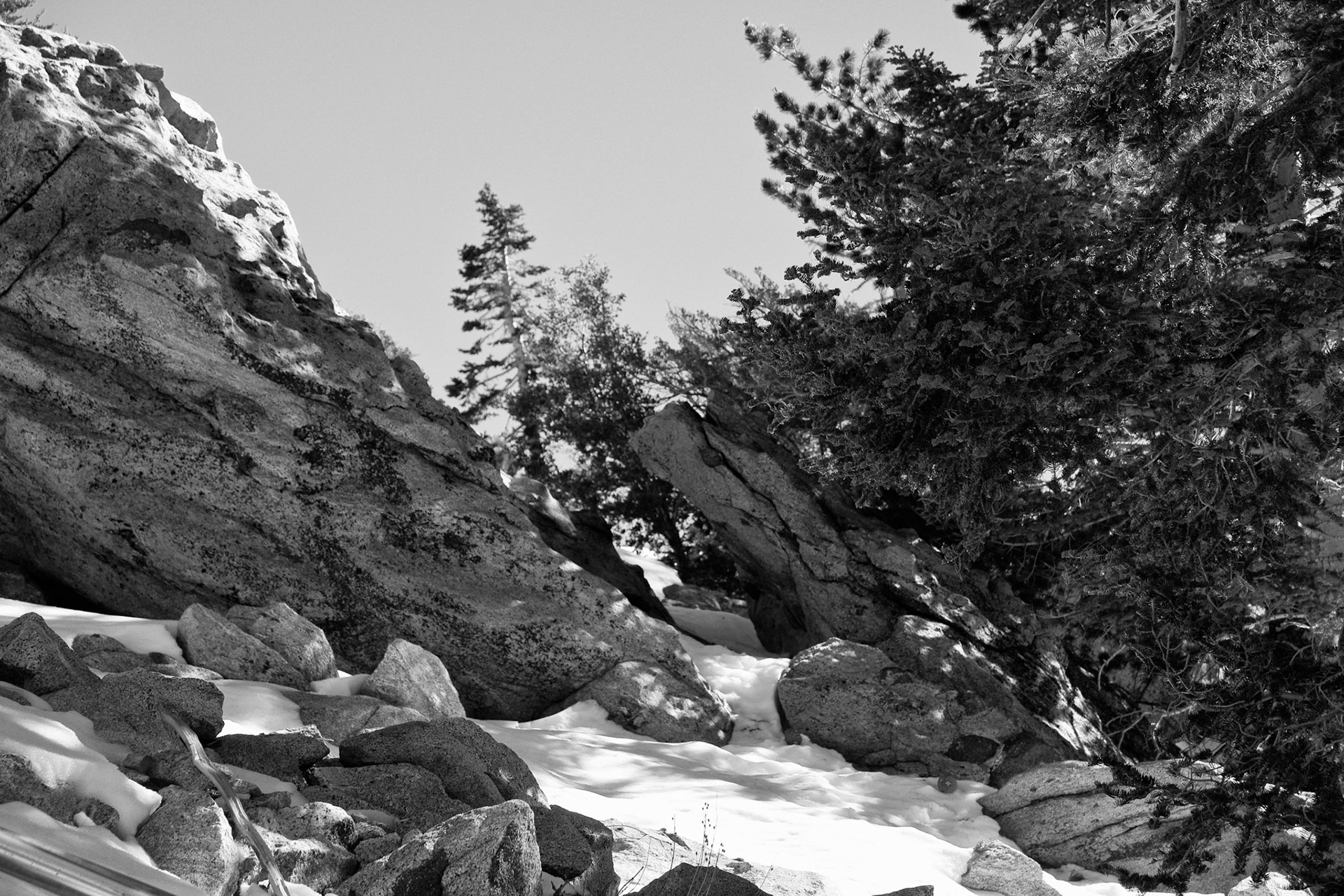 Black & White 00091