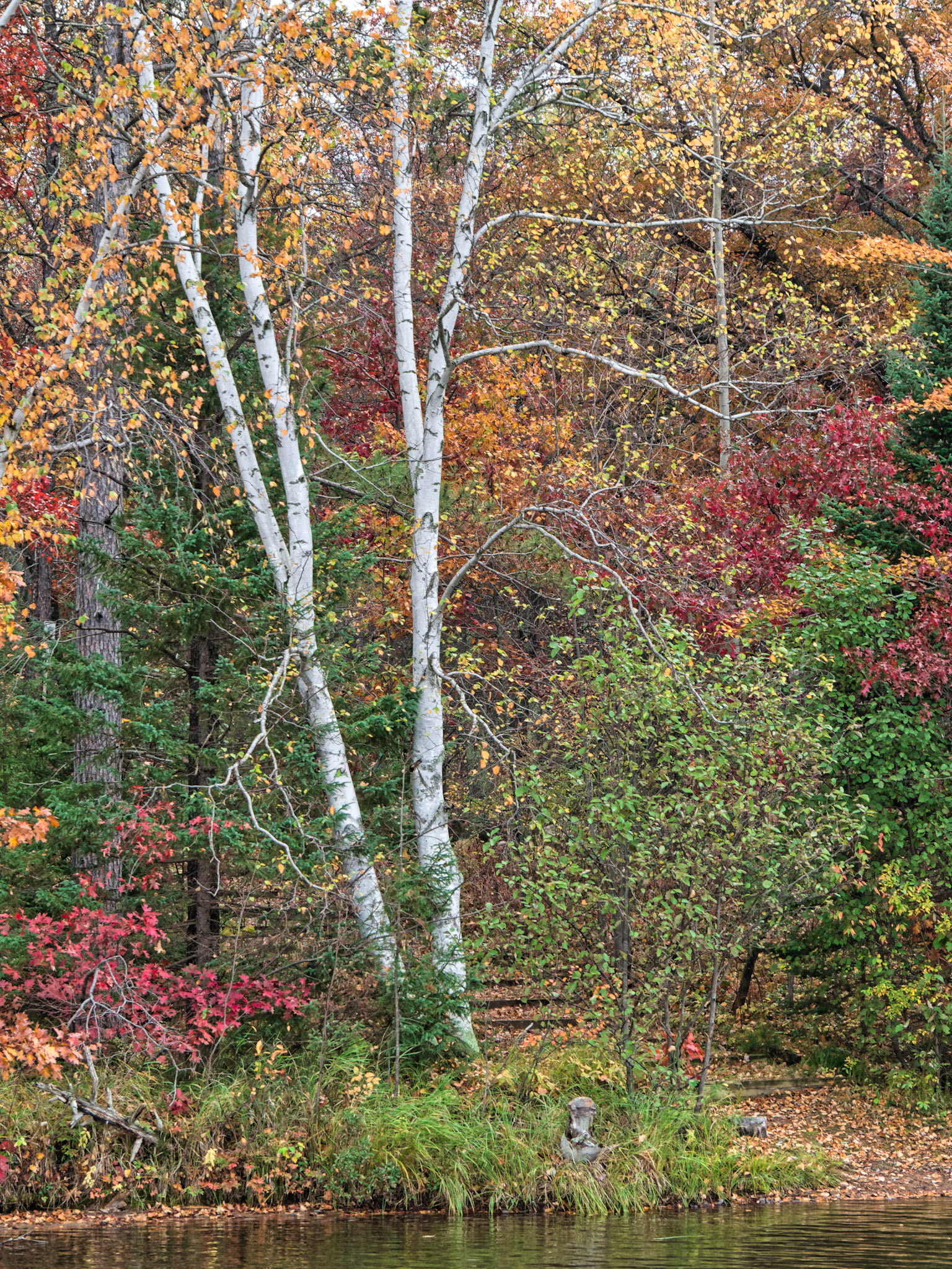 WI Fence 00139