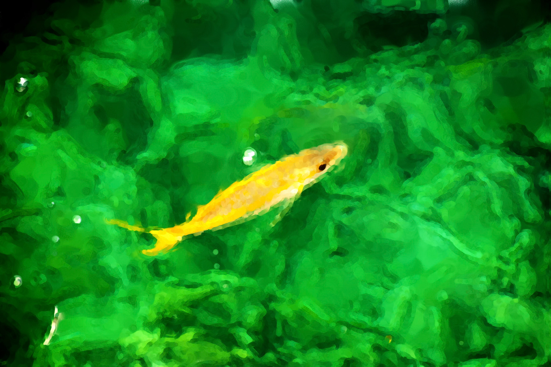 Paintings 00053