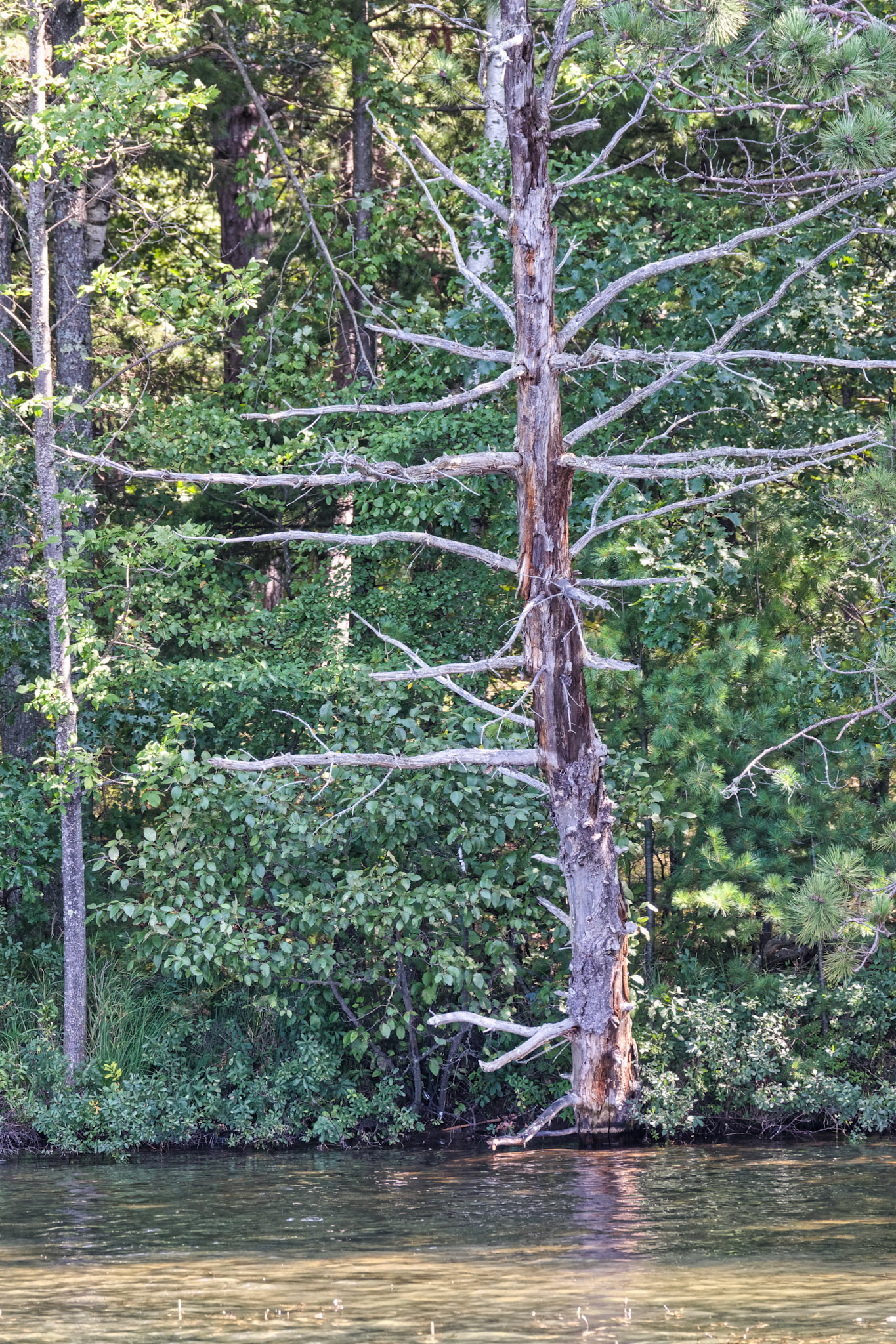 WI Fence 00321