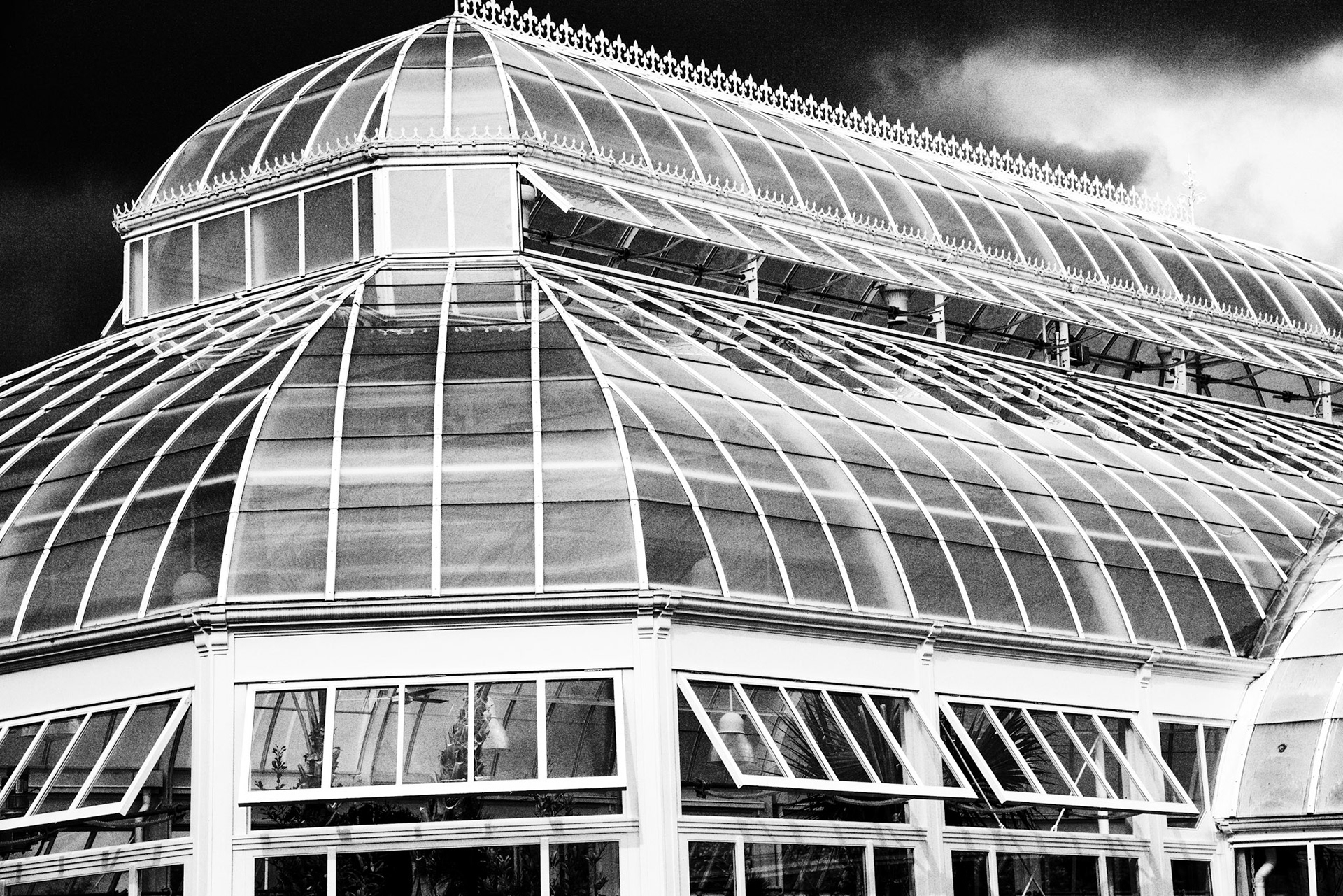 Black & White 00227
