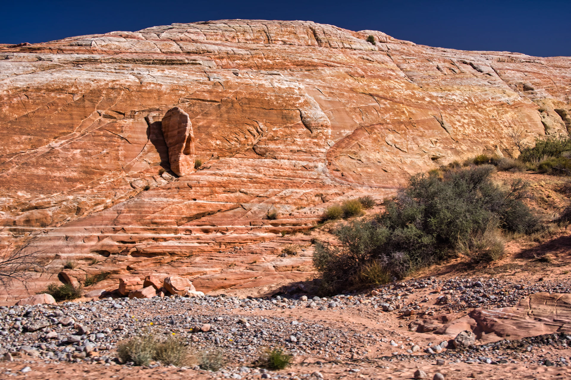 NV Desert 00107