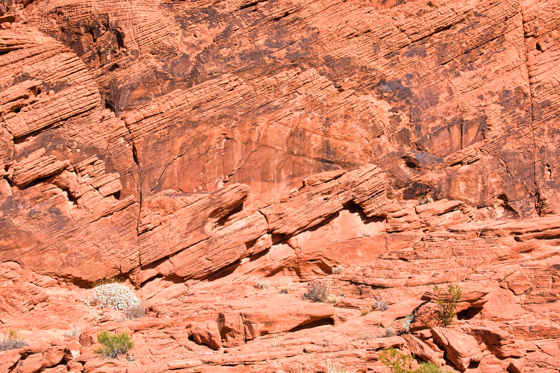 NV Desert 00150