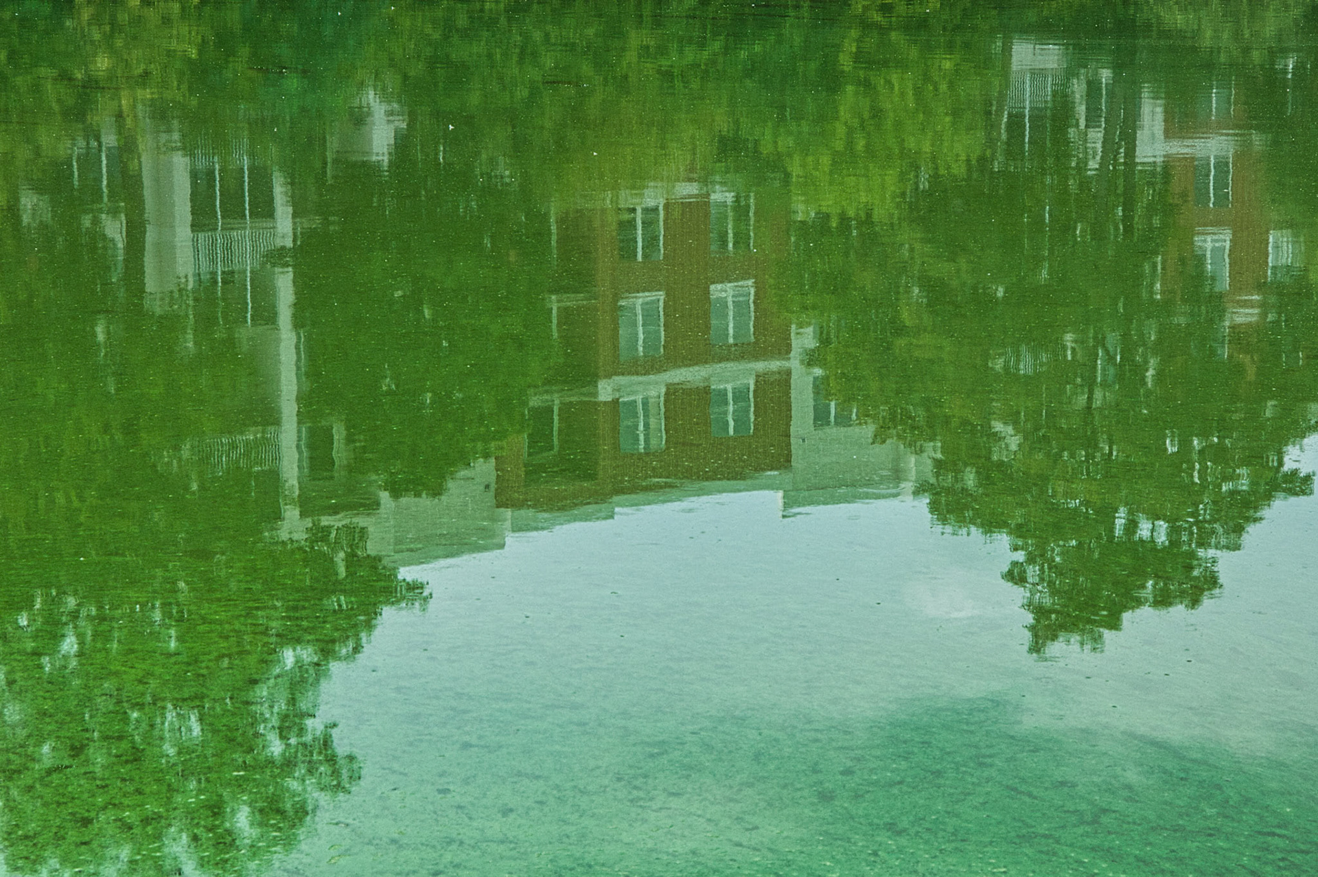 IL Miscellaneous 00030