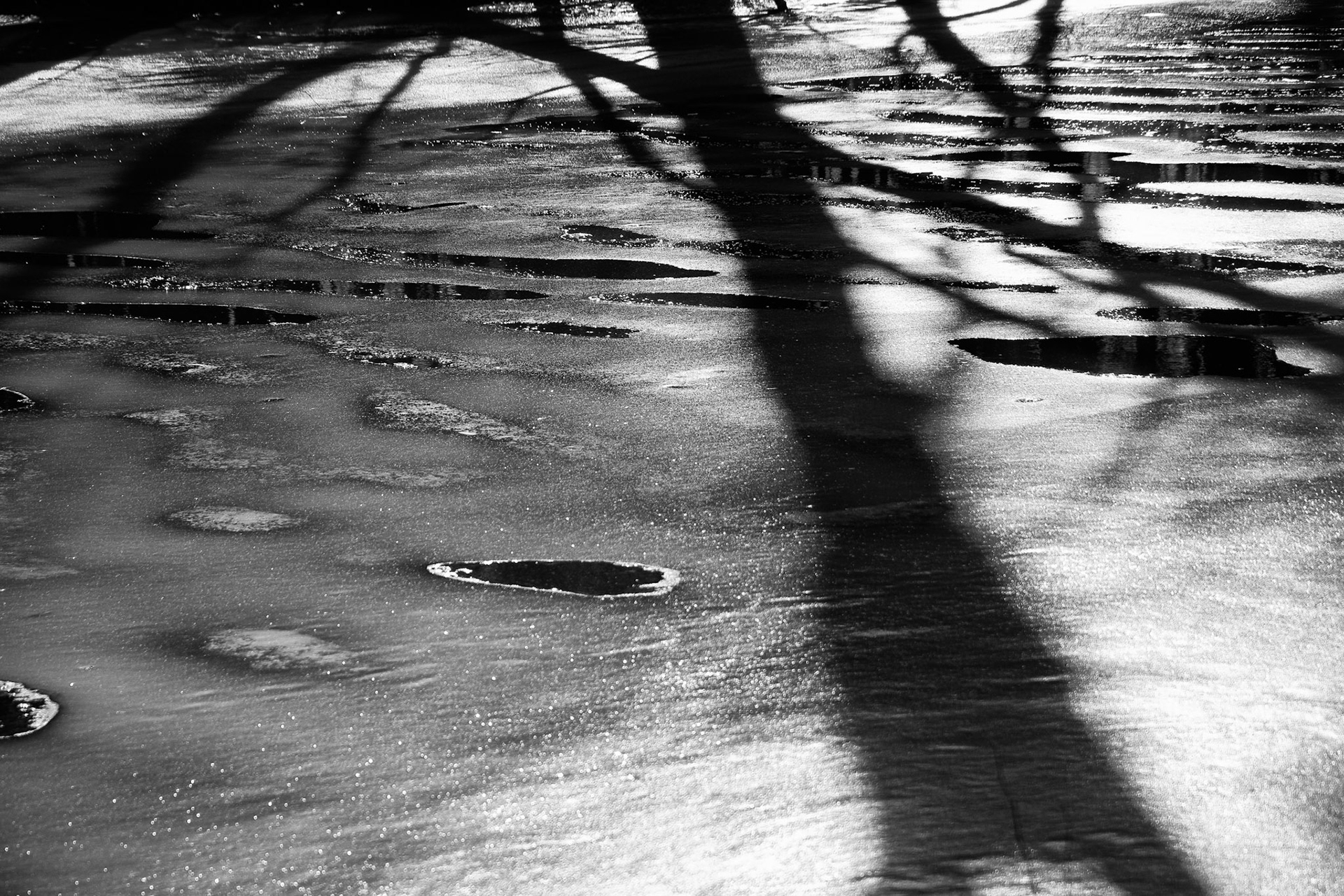 Black & White 00120
