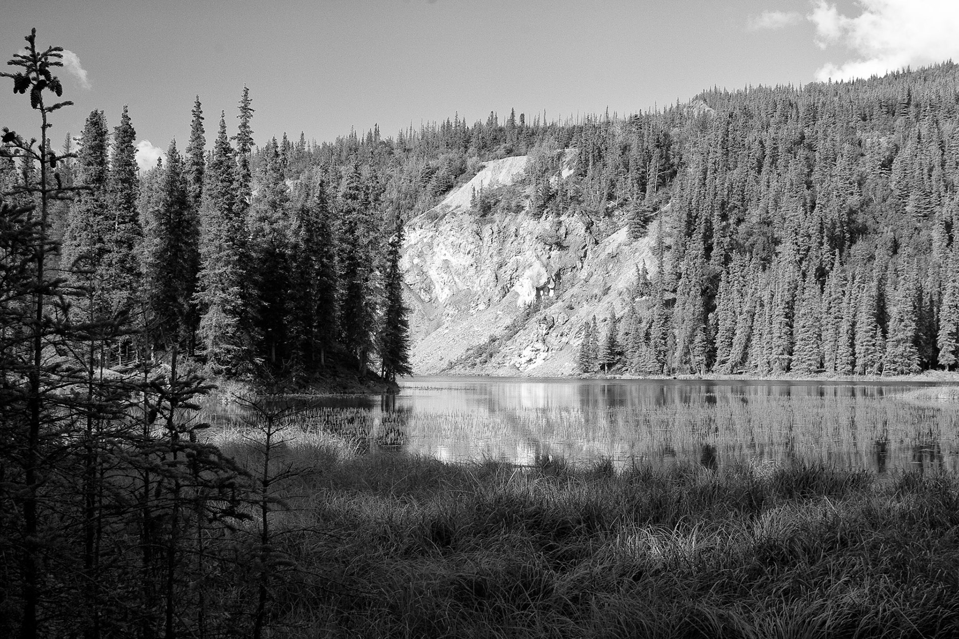 Black & White 00071