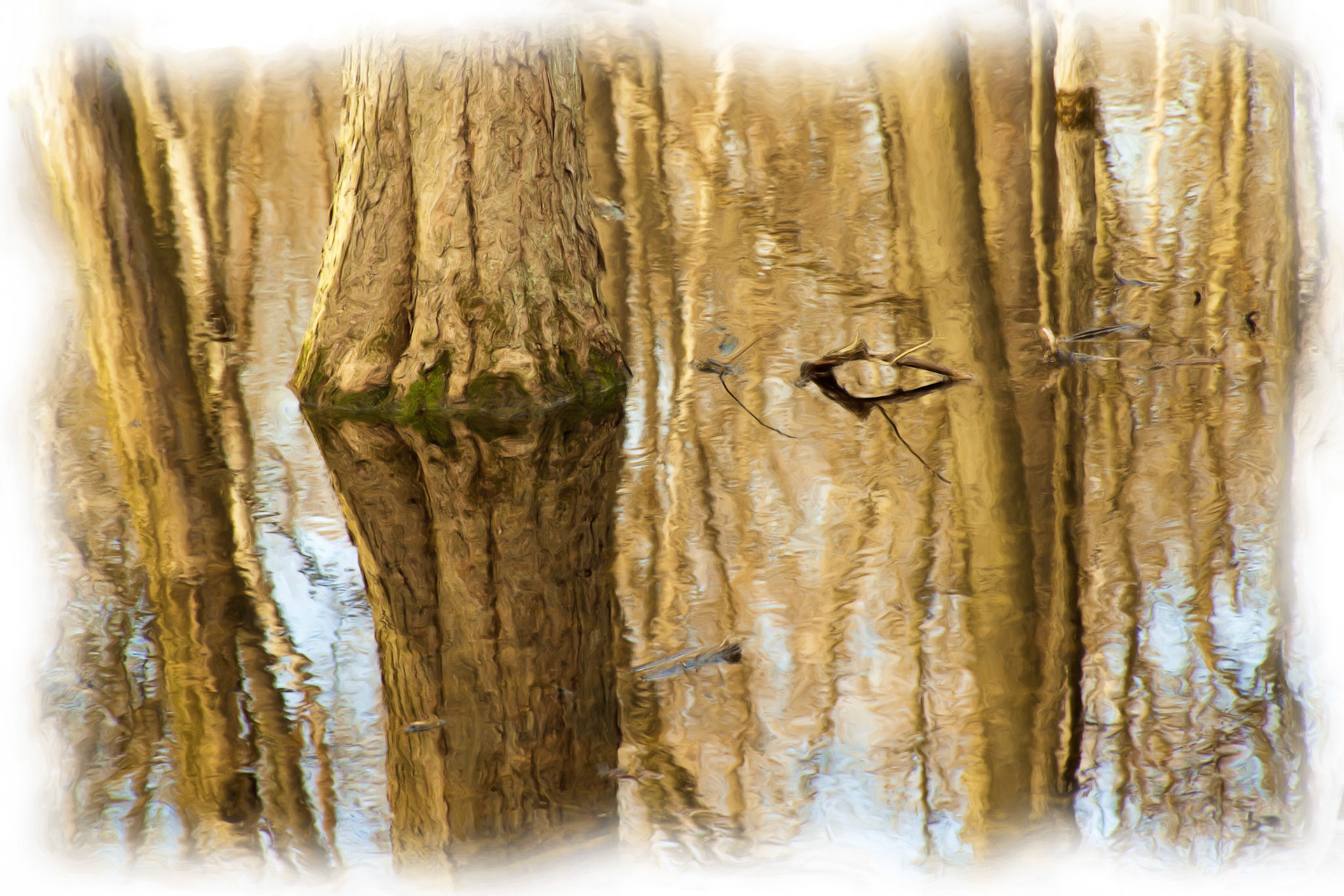 Paintings 00273