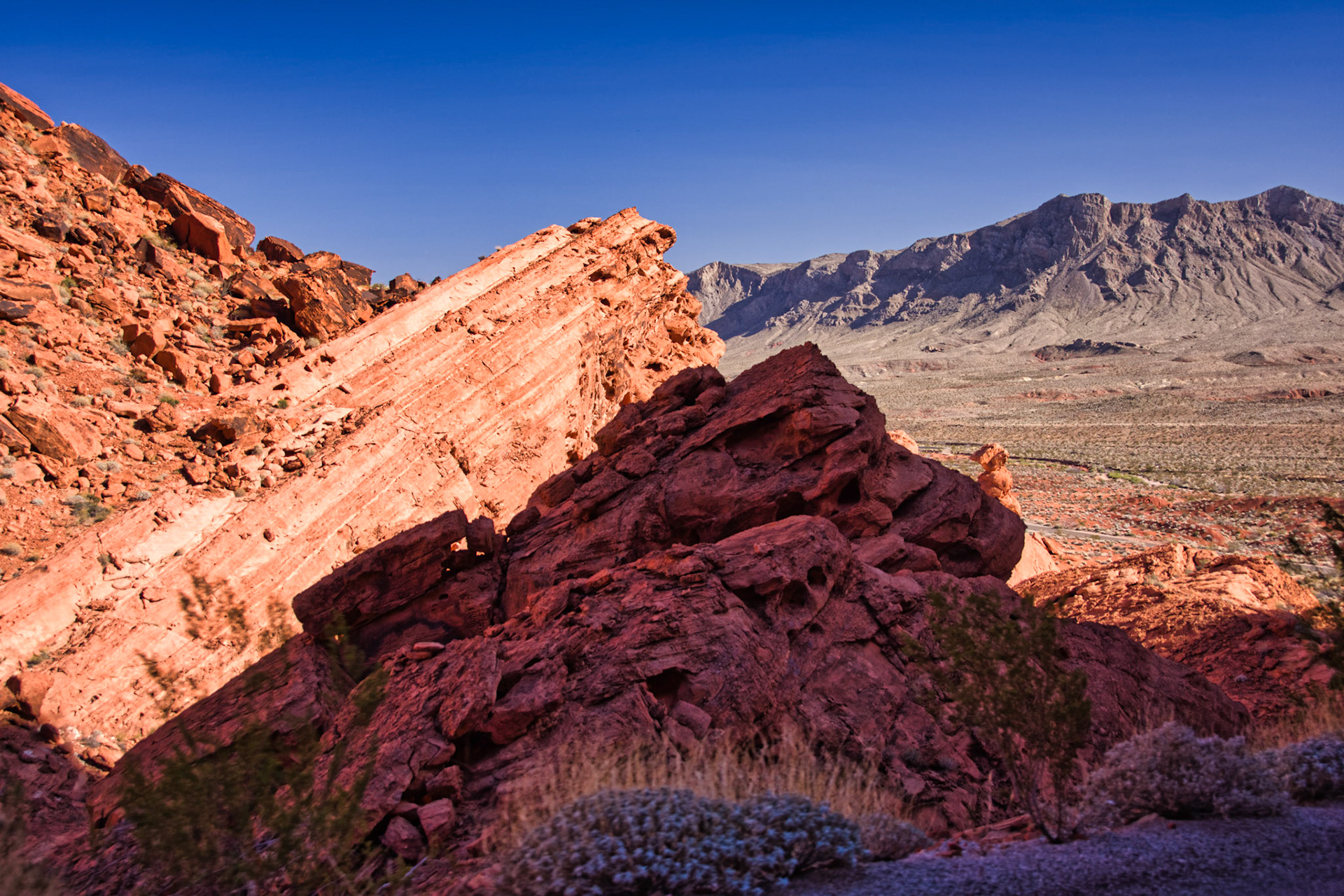 NV Desert 00094