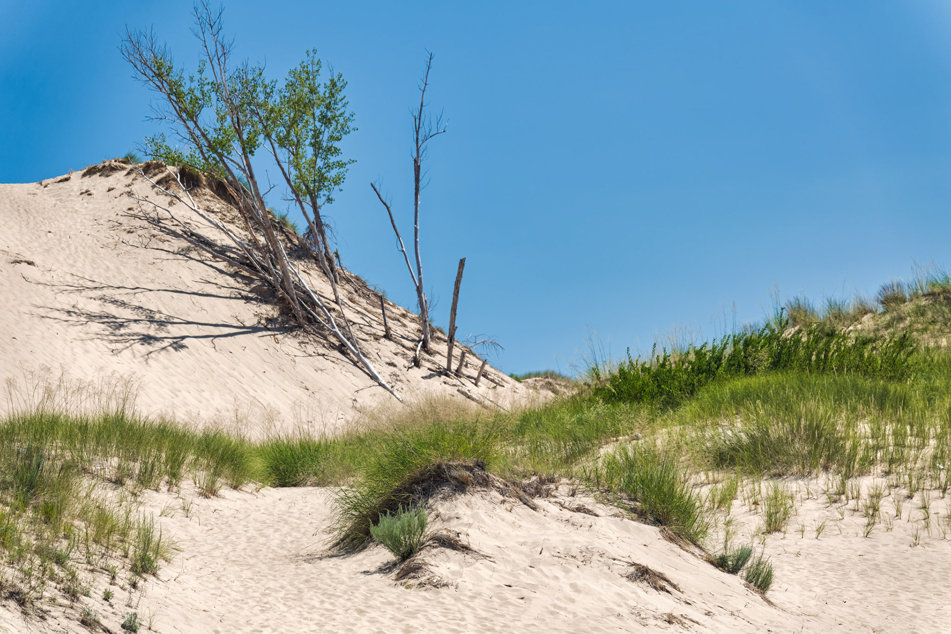 MI Dunes 00022