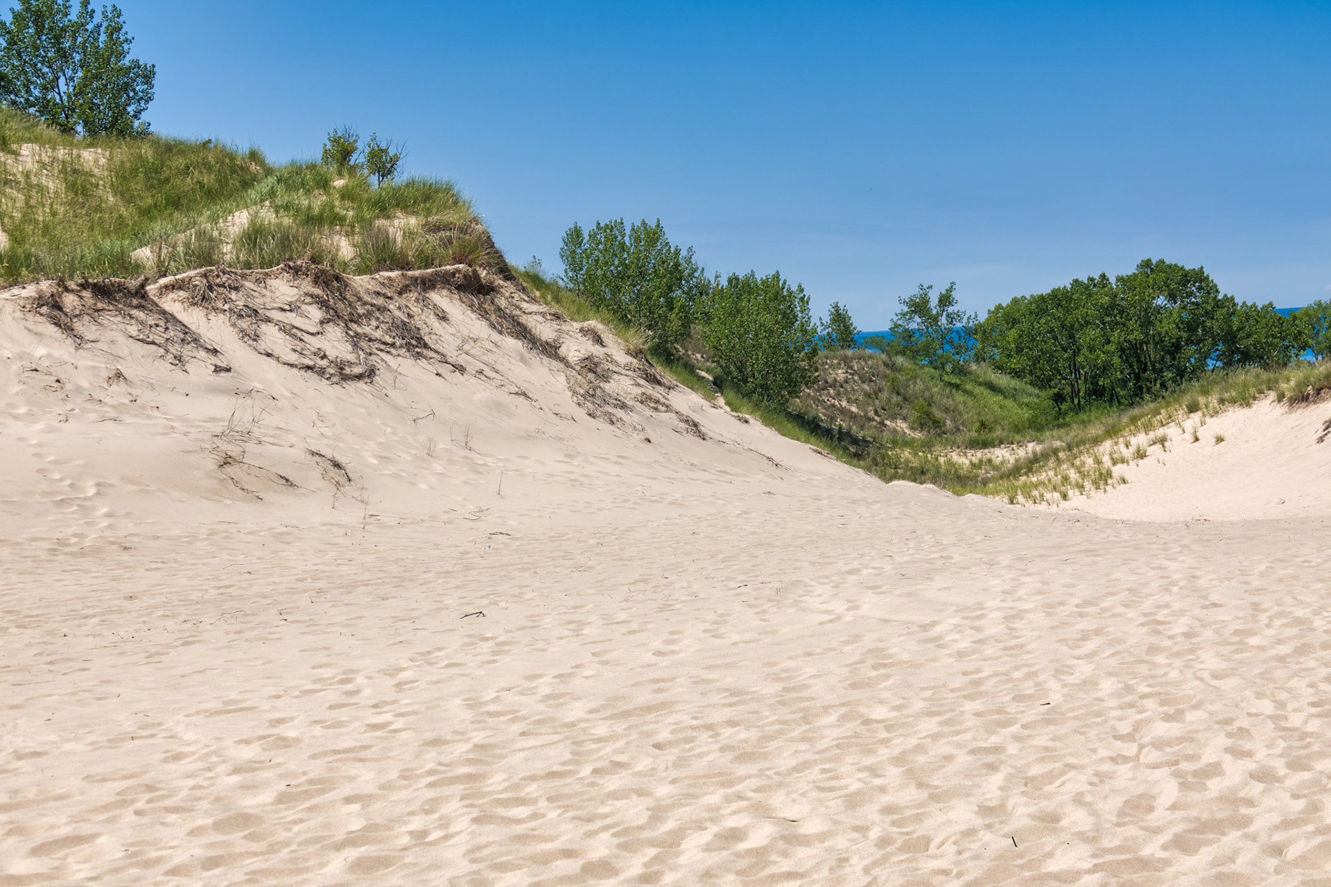 MI Dunes 00033