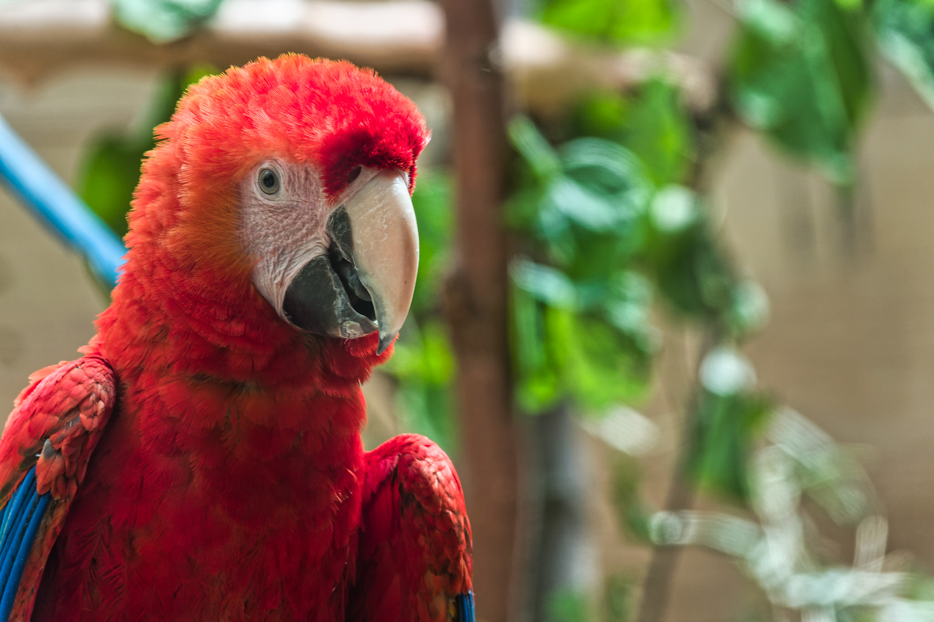 IN Zoo 00142
