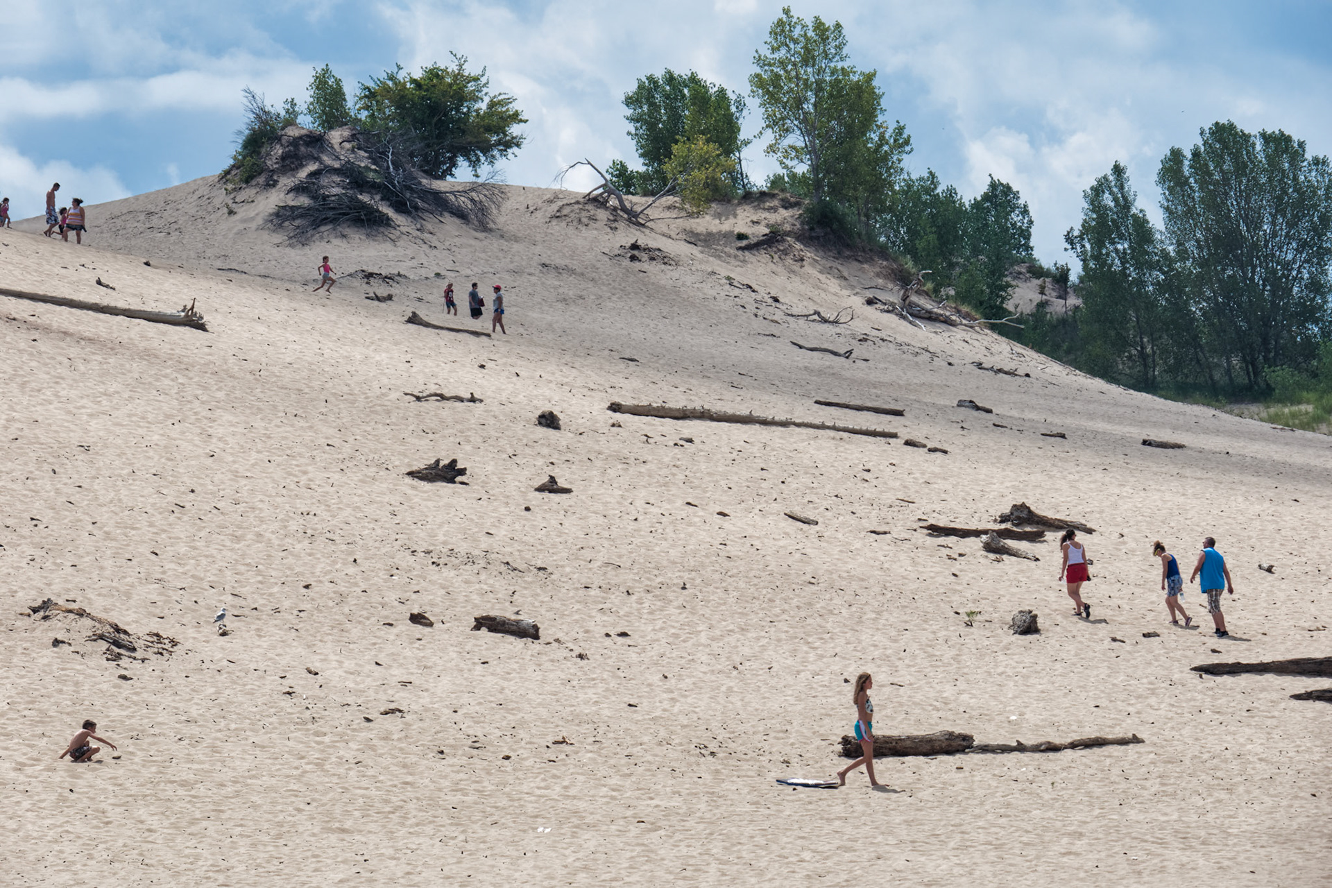 MI Dunes 00019