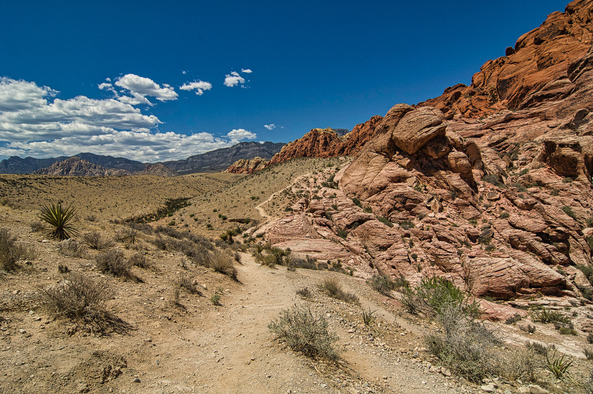 Desert Southwest