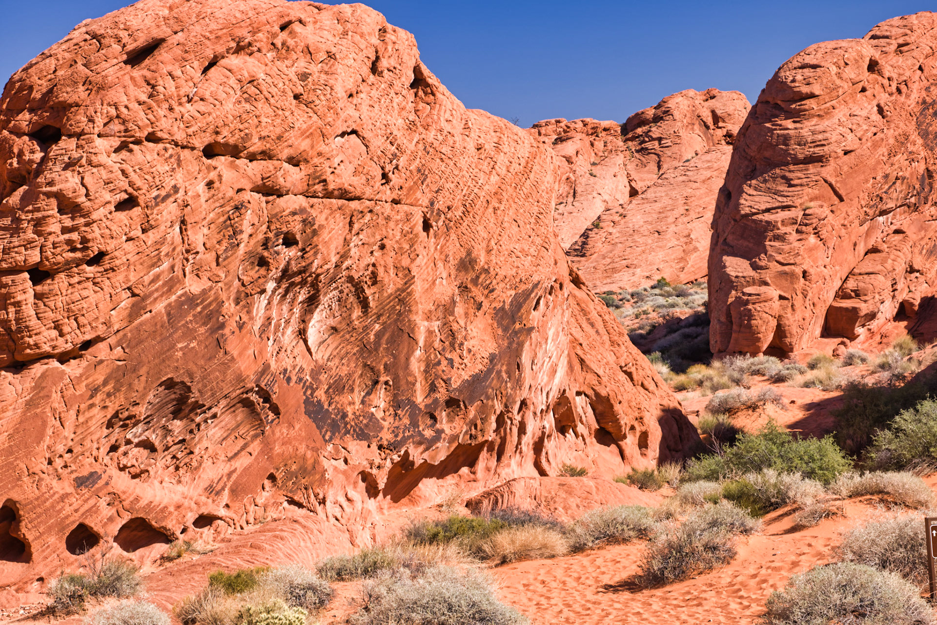 NV Desert 00136