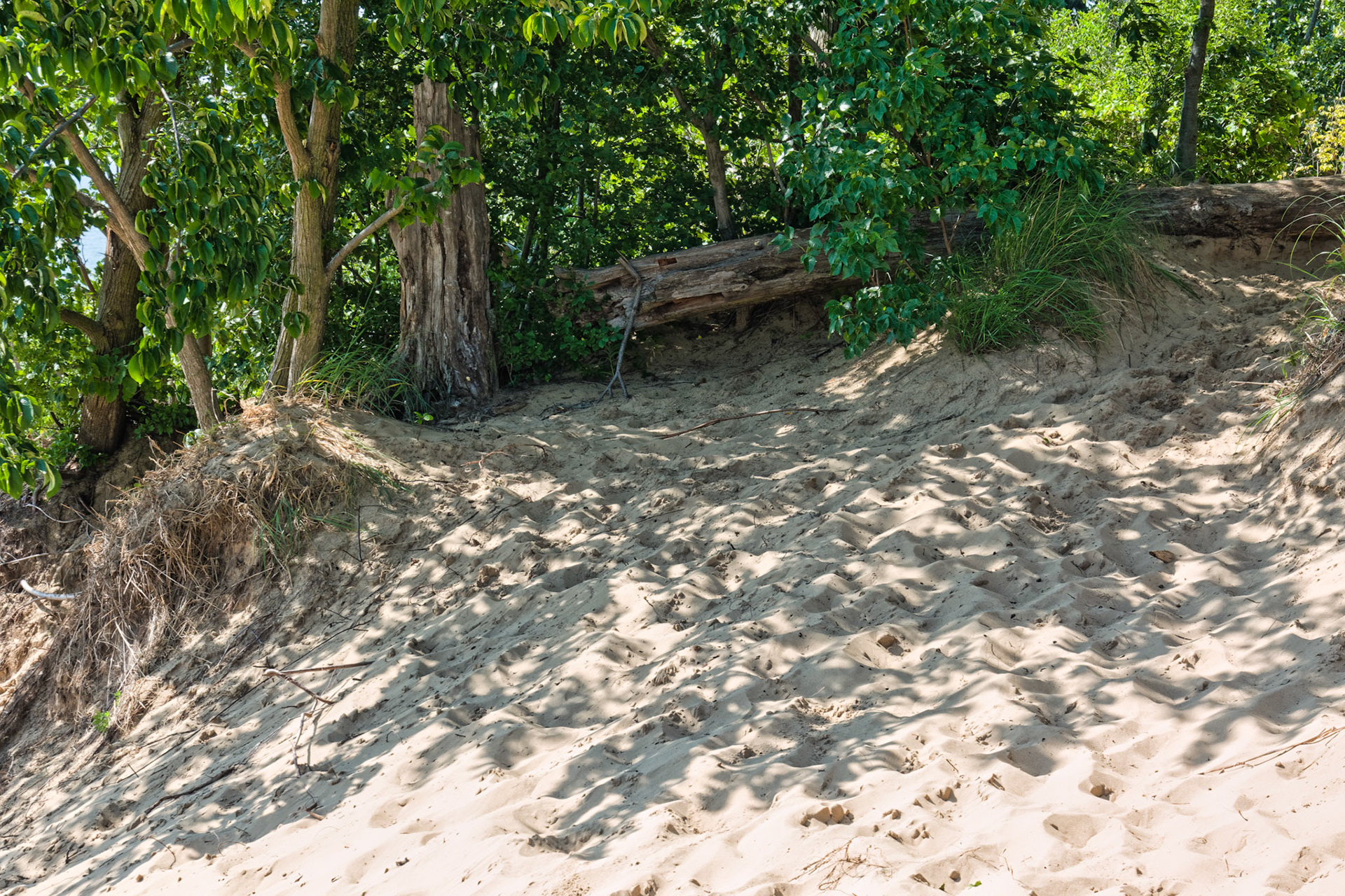 MI Dunes 00108