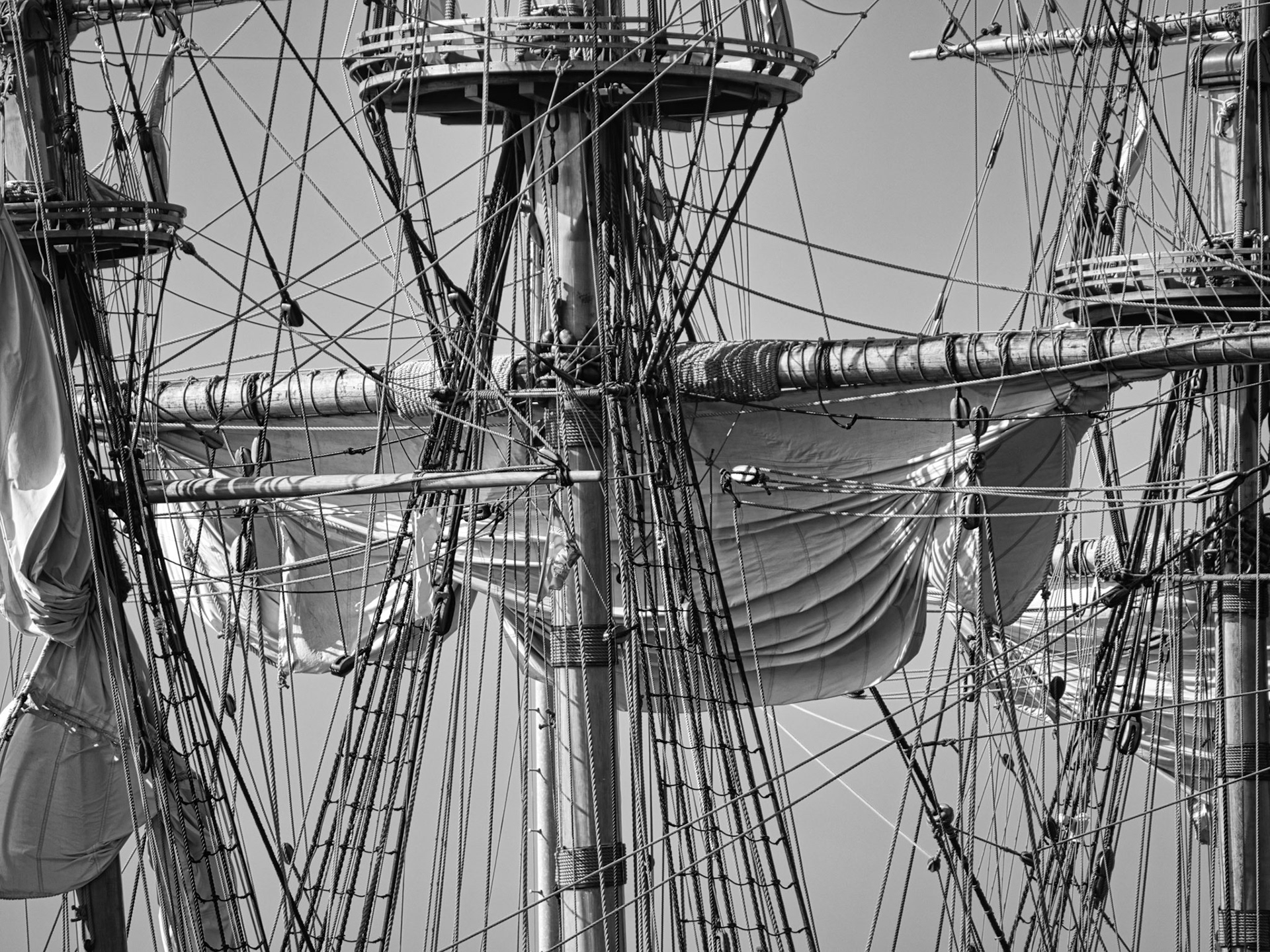 Black & White 00308