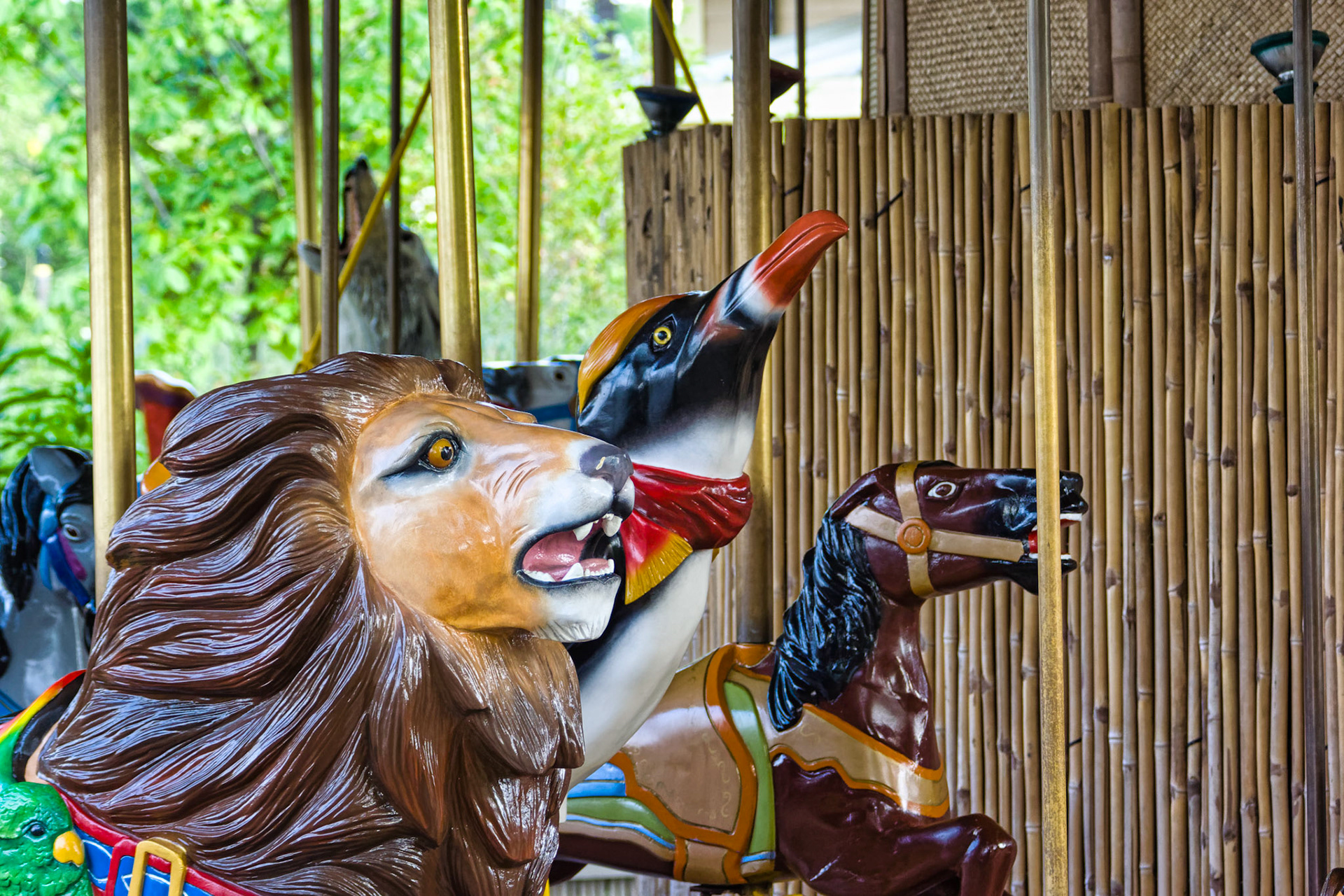 IN Zoo 00097