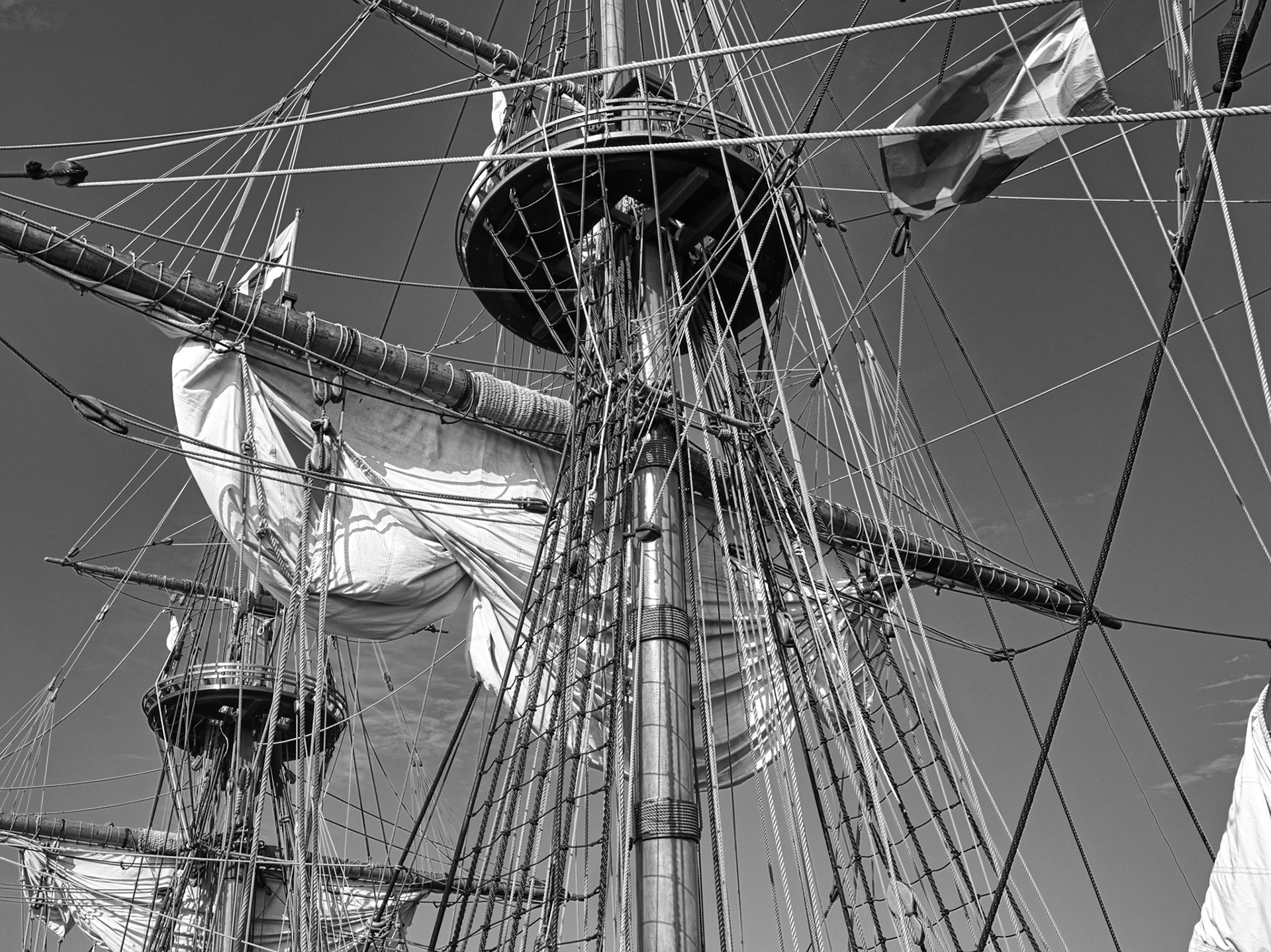 Black & White 00310