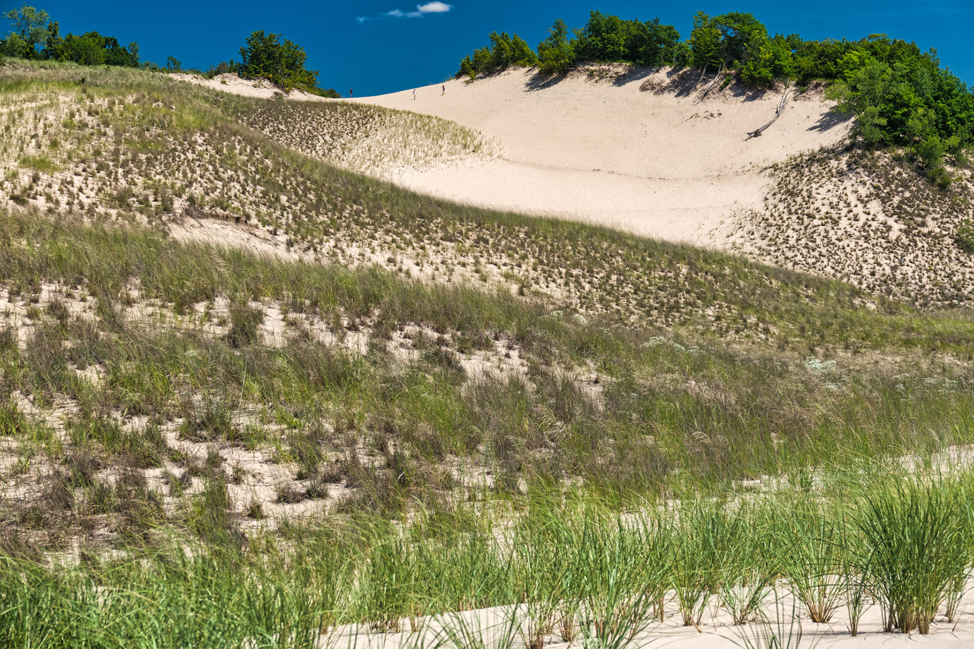 MI Dunes 00044