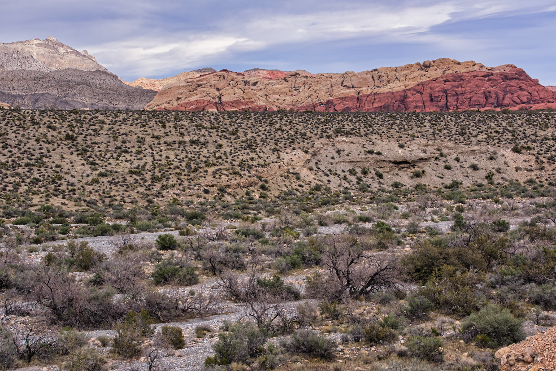 NV Desert 00169