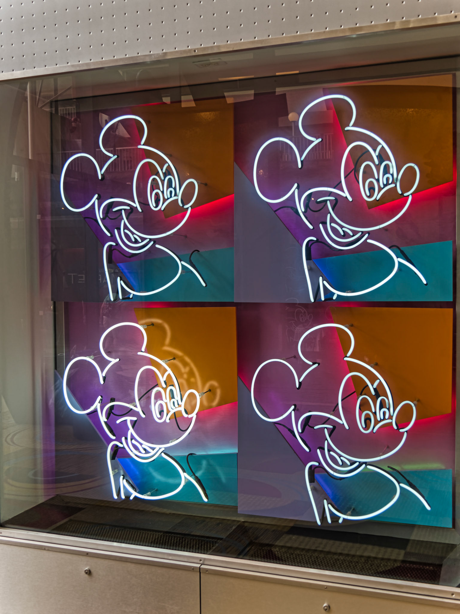 Florida Disney 00022