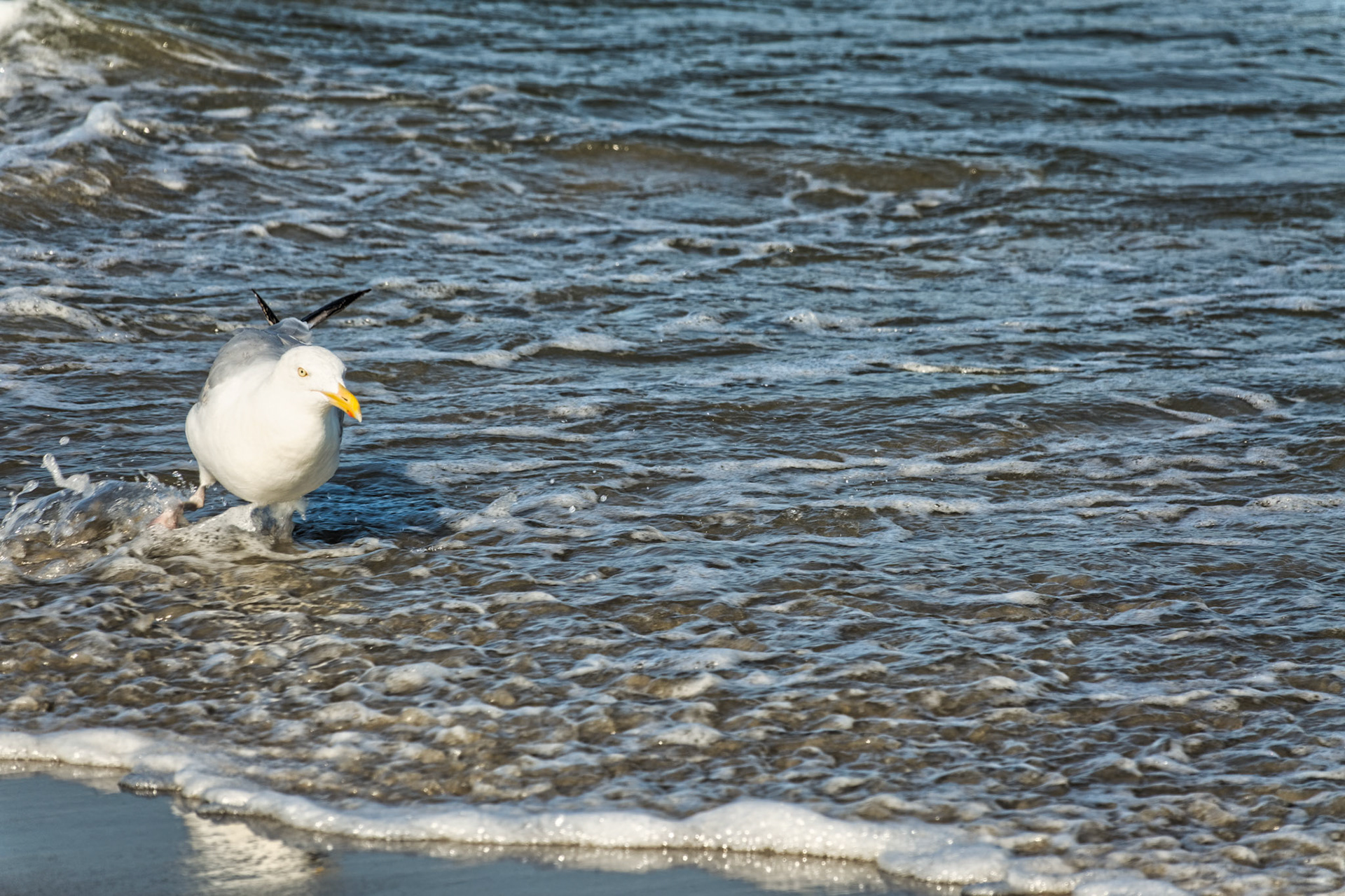NJ Shore 00016