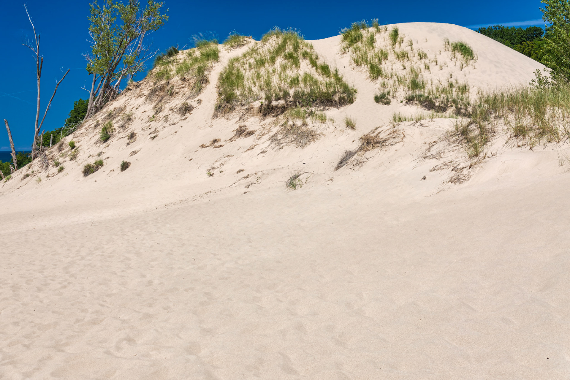MI Dunes 00040
