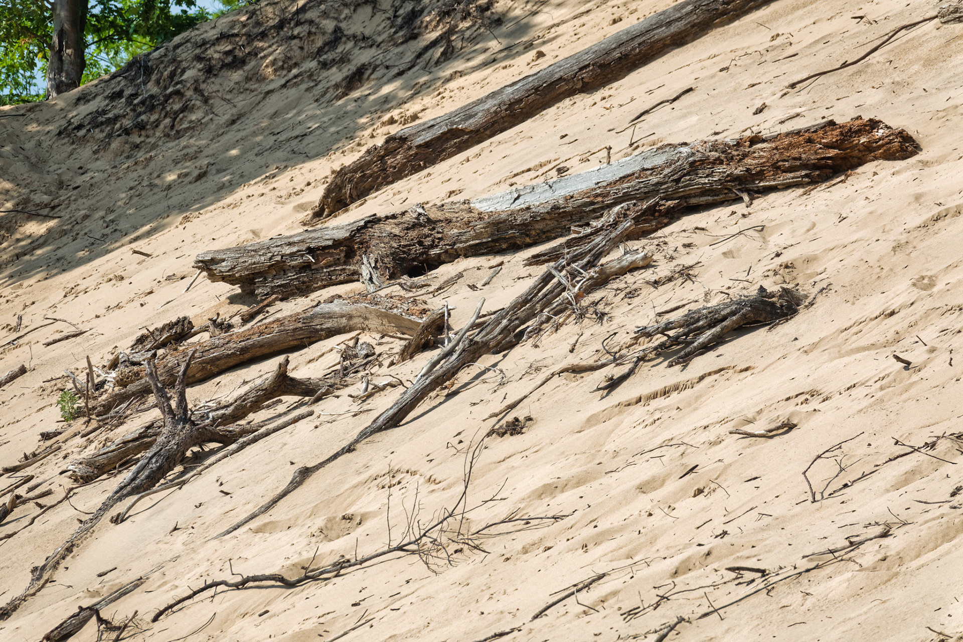 MI Dunes 00118