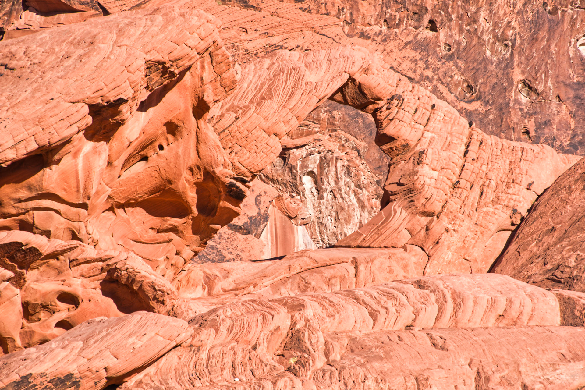 NV Desert 00074