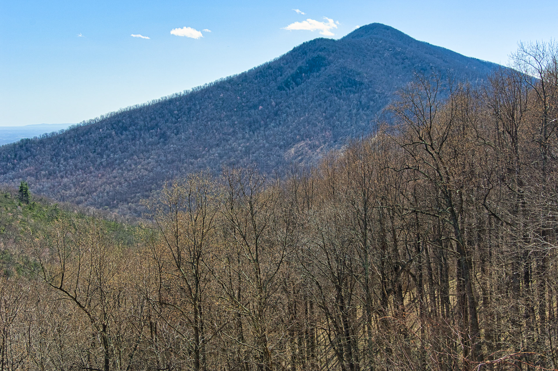 VA Blue Ridge Pkw 00022