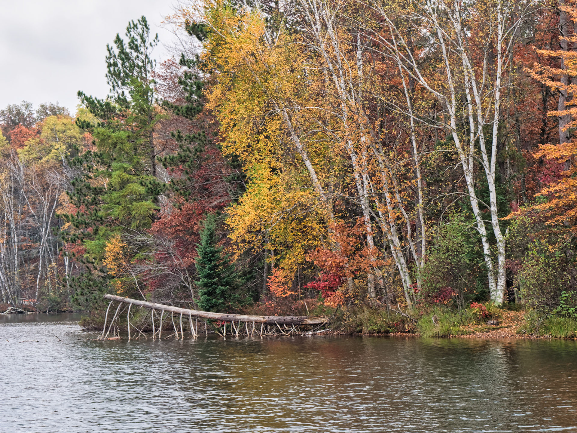 WI Fence 00143