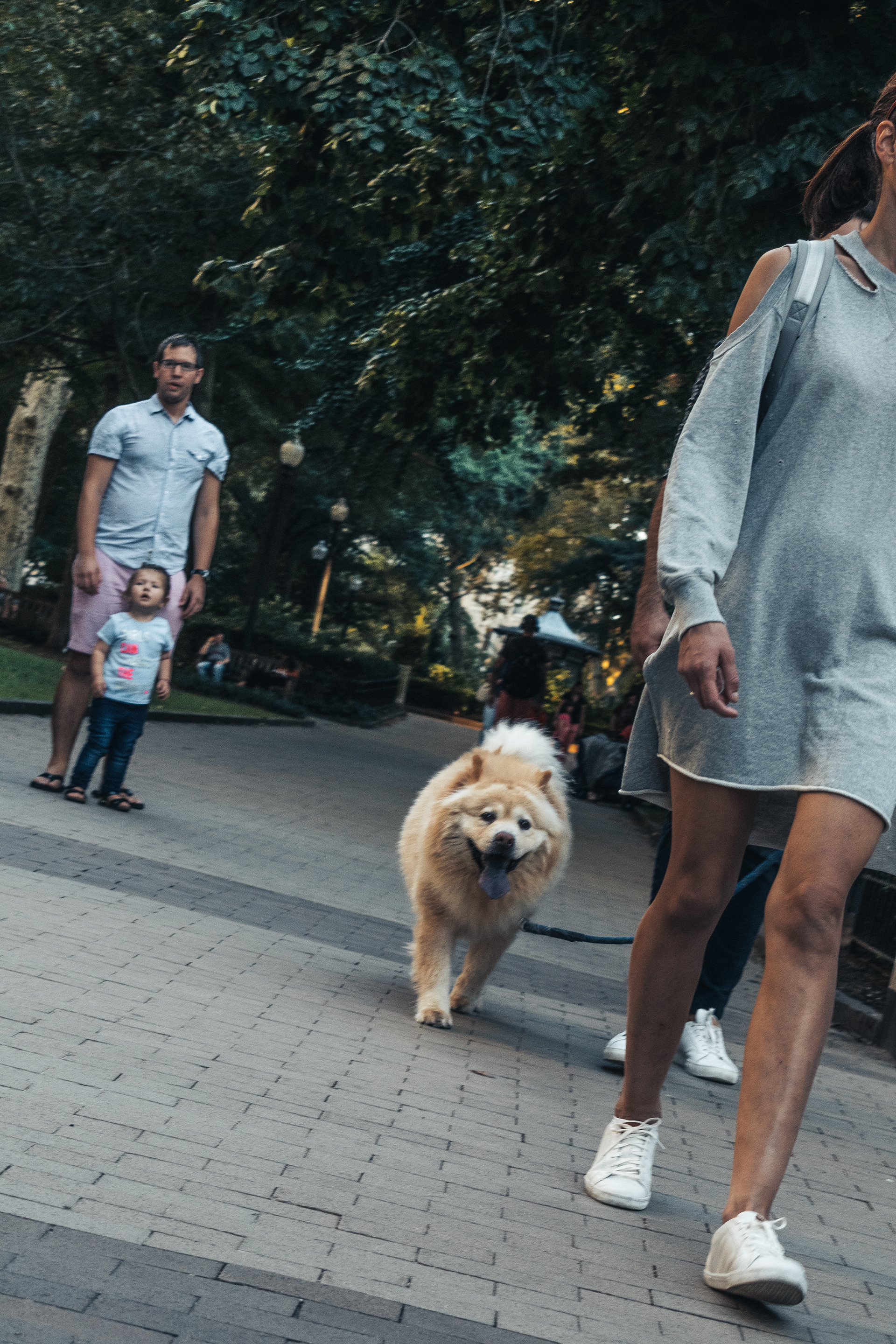 Philadelphia, PA | Oct. 2019 | Nikon D7500
