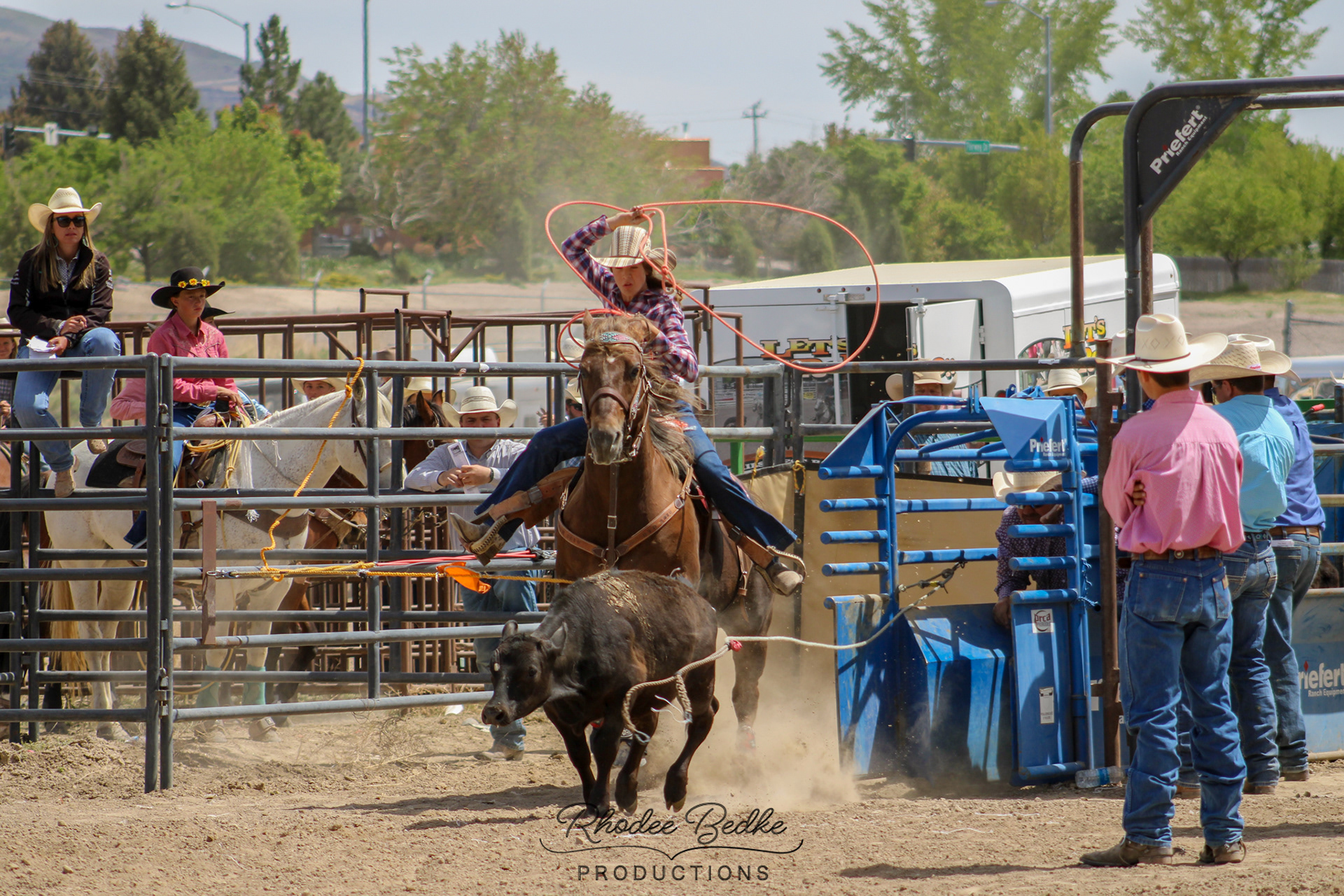Rodeo & Sport