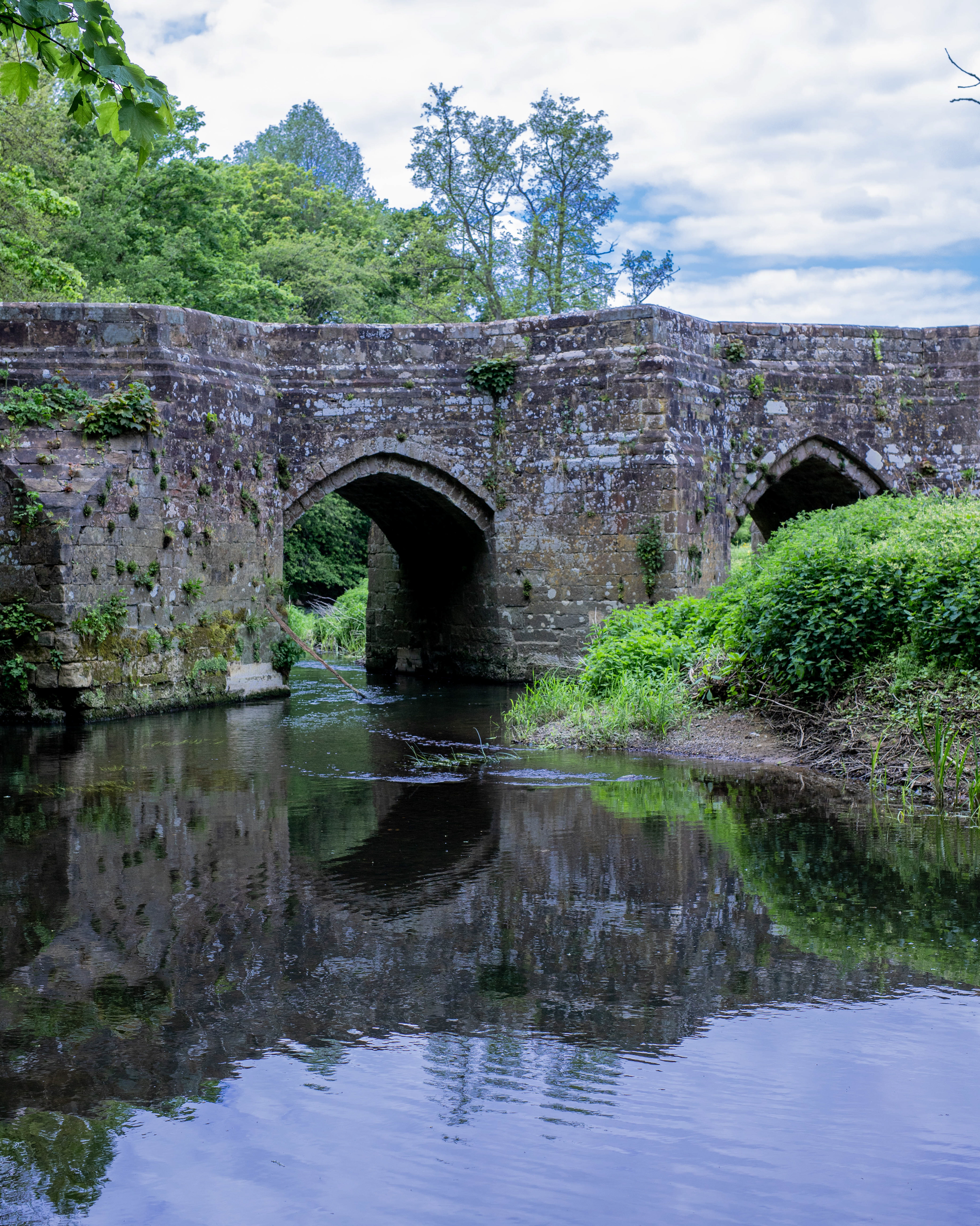 Bridge in Spring