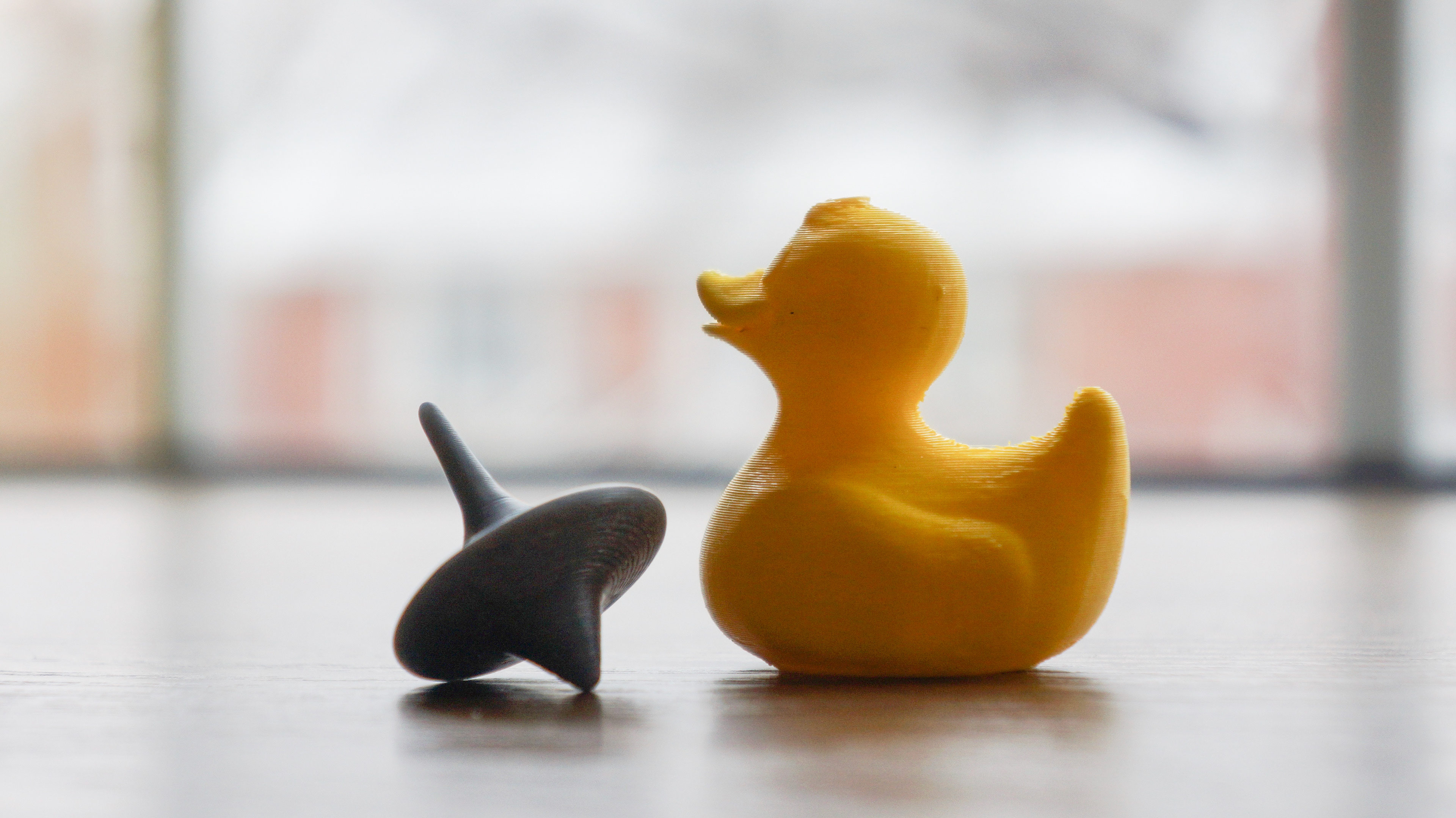 Spinning top (from Inception) and rubber duck (flexible material)