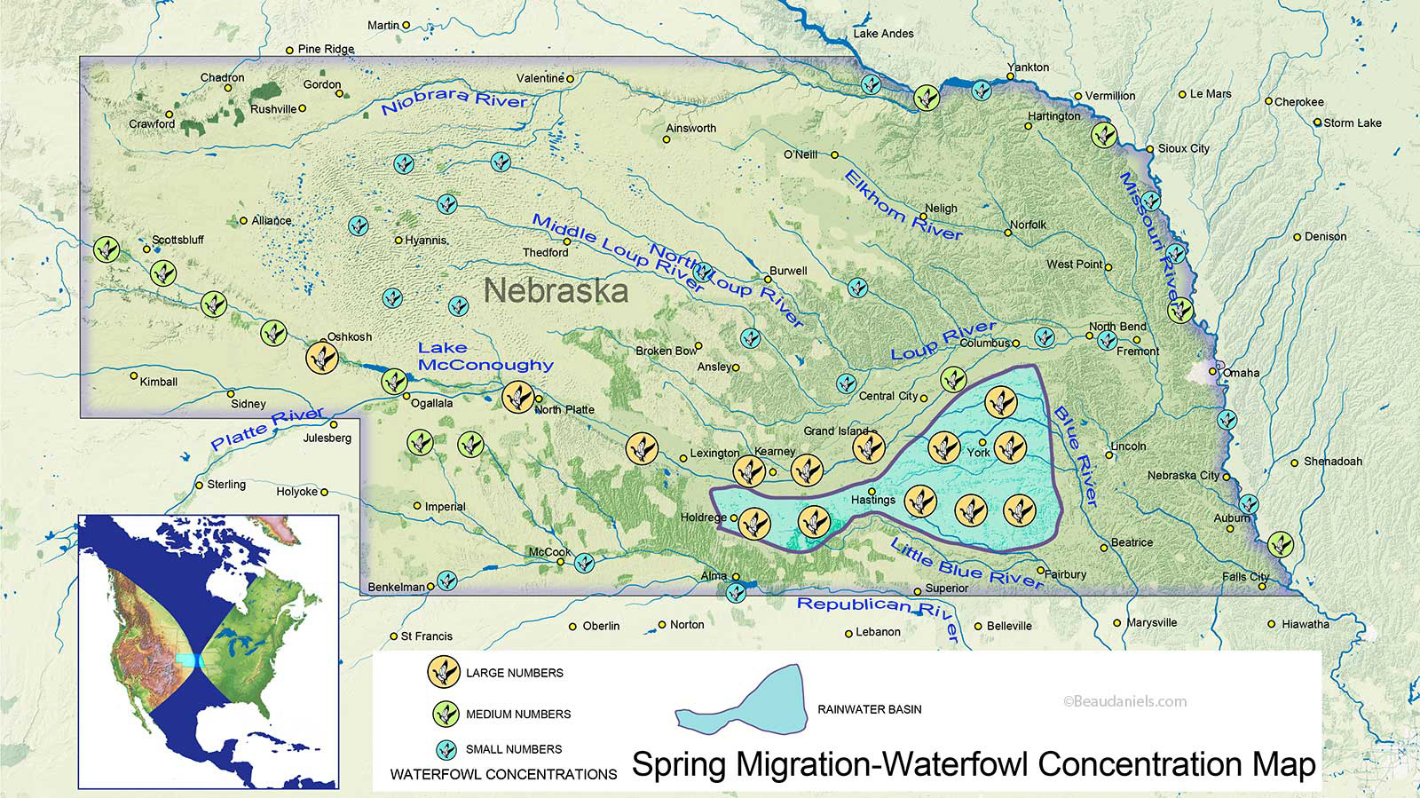 Spring Migration Map