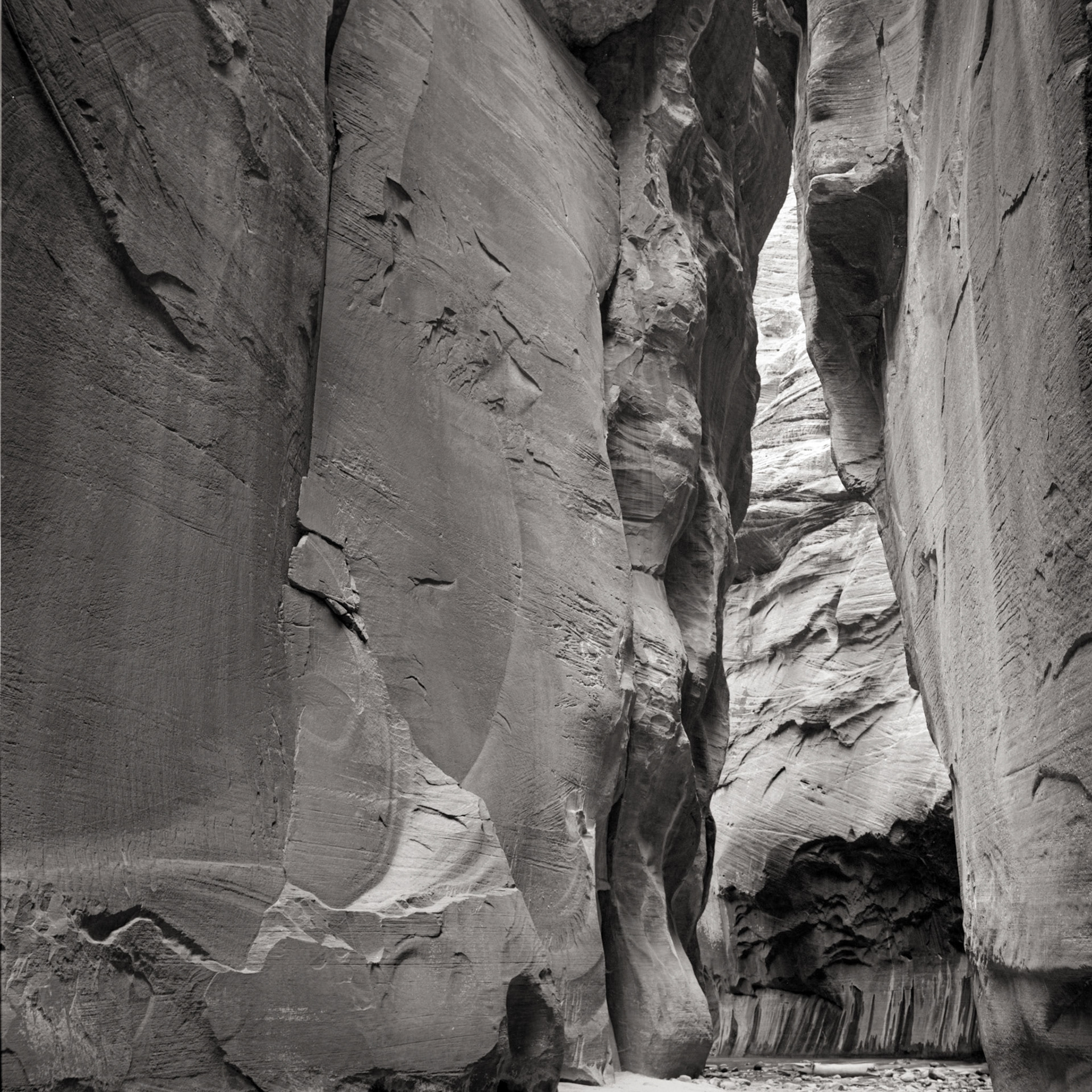 Zion Canyon, 1989. scanned 6x6 negative.