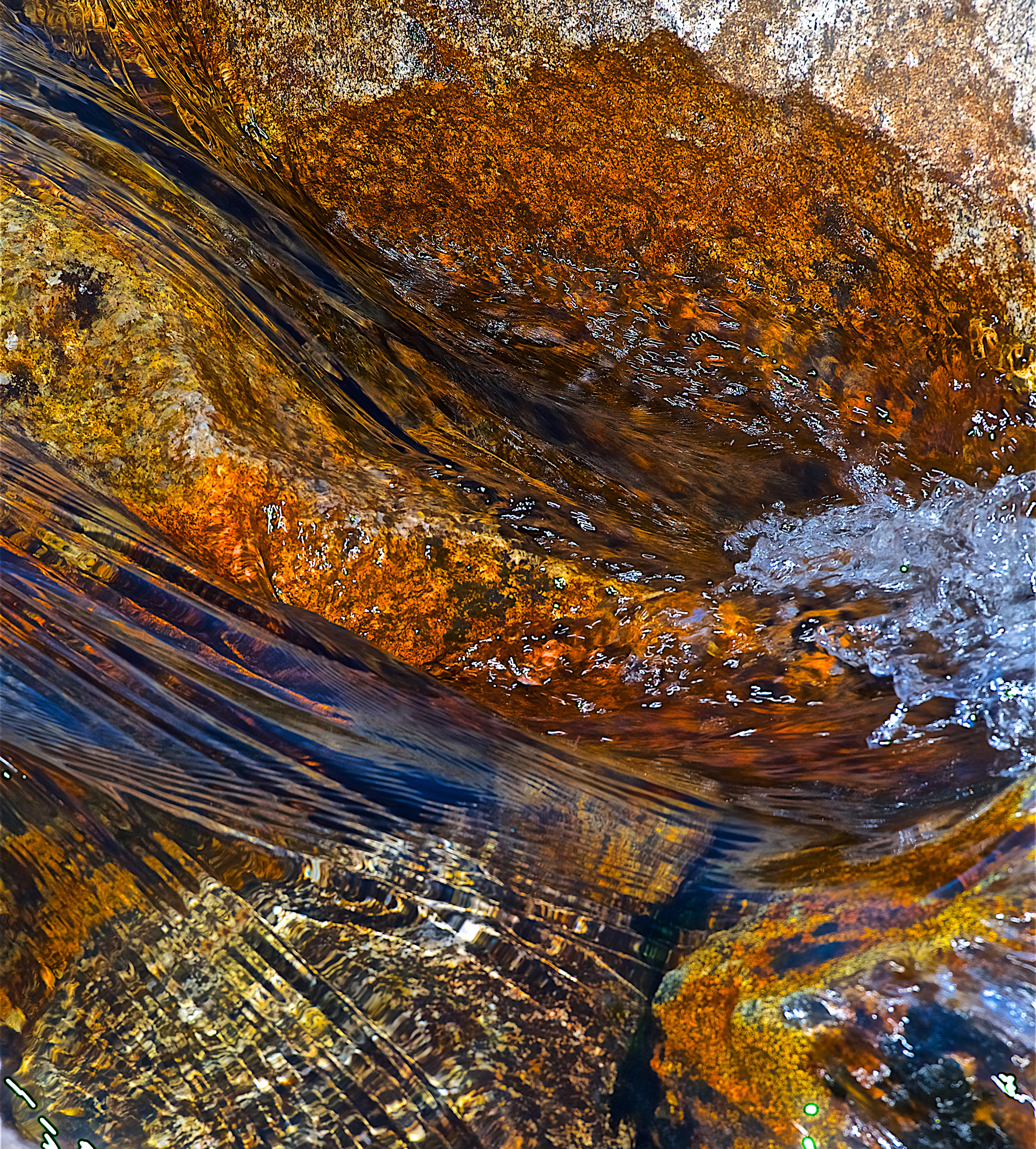 Etikett Rakfiskakevitt 2016