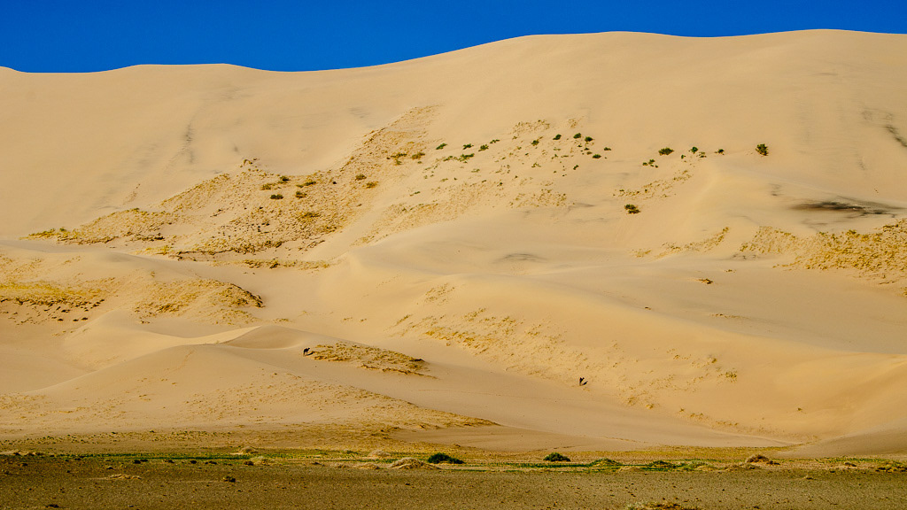 Пустыня гоби где находится в какой стране фото