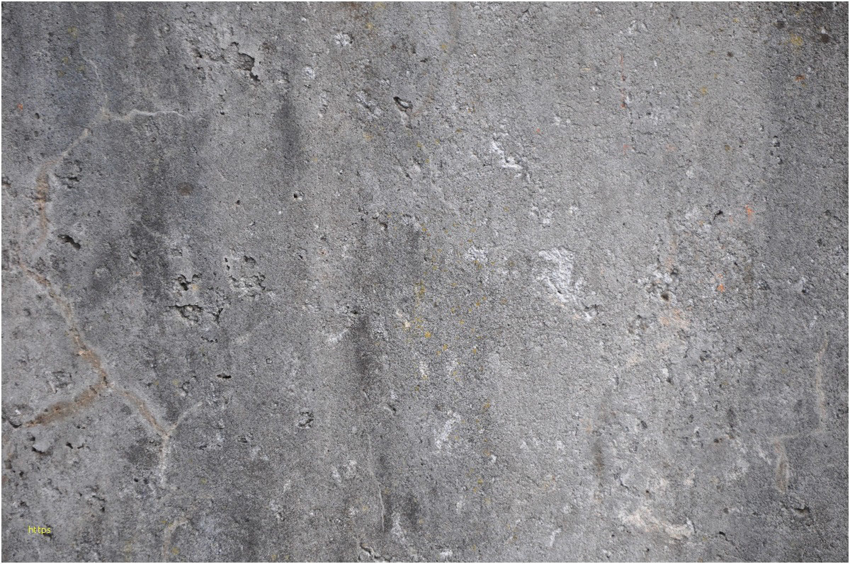 cement plaster walls