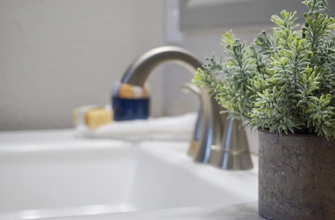 A picture of the half-bath to display the bathroom's picturesque aesthetic.