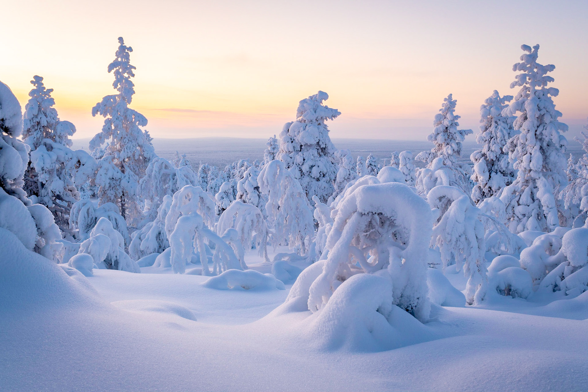 Fabien Guittard | photography - Lapland